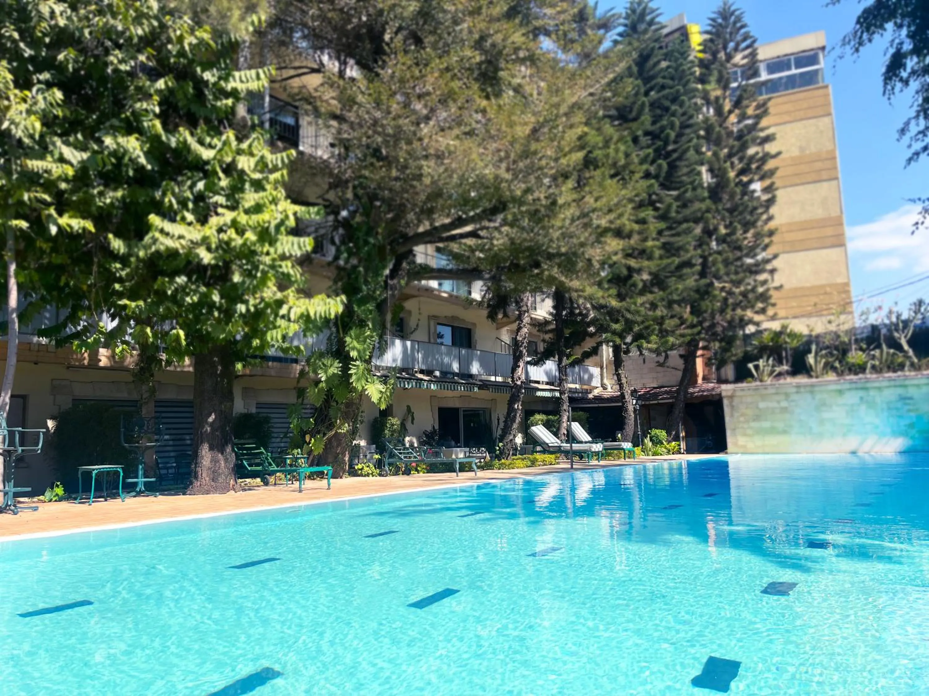 Garden view in Sunny Garden