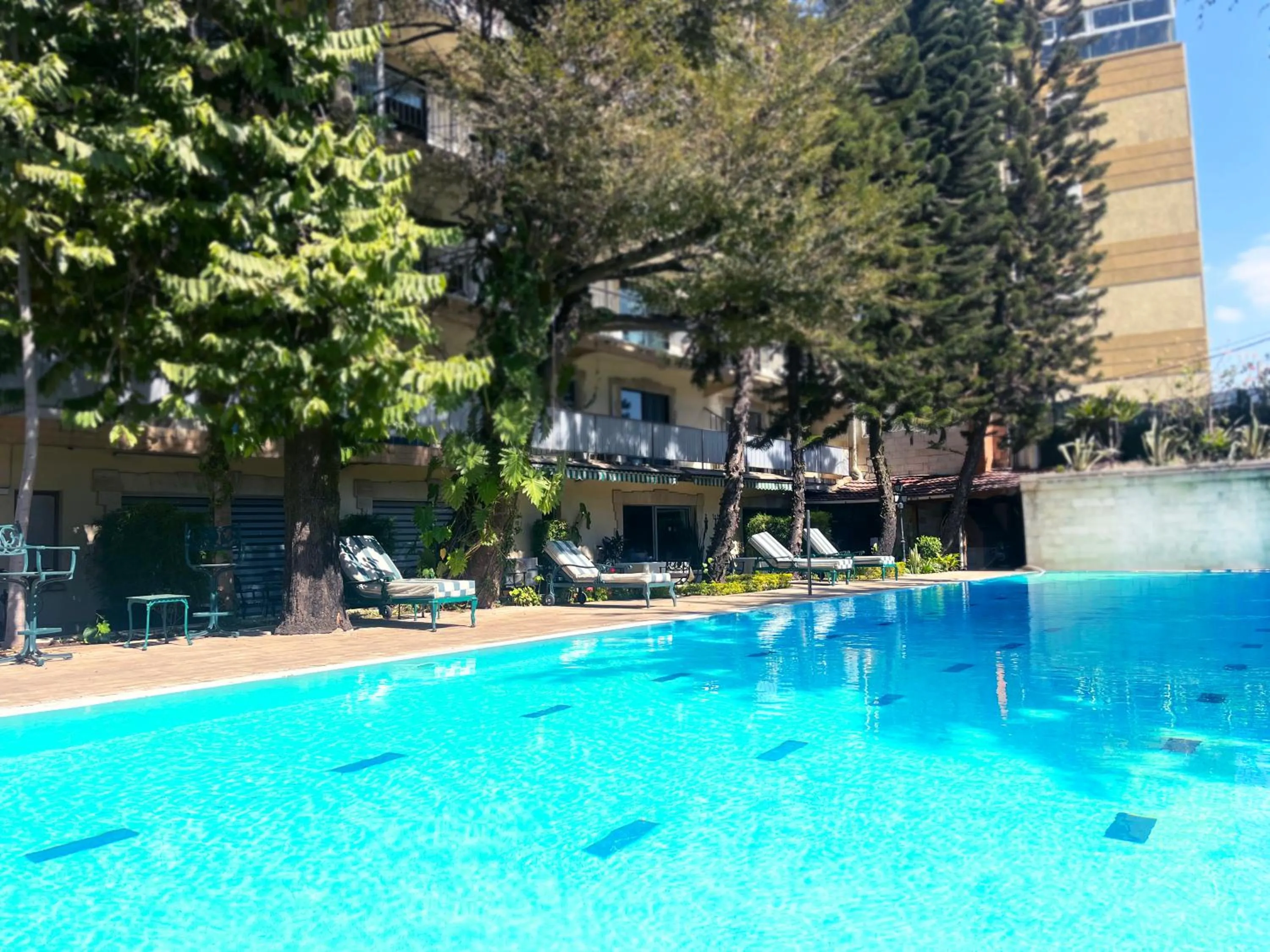 Swimming pool in Sunny Garden