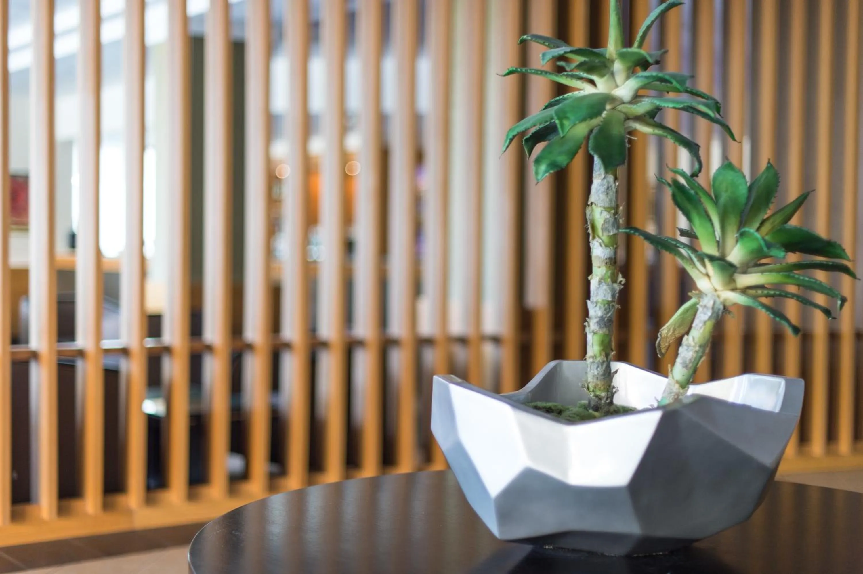 Lobby or reception in Vila Baleira Porto Santo