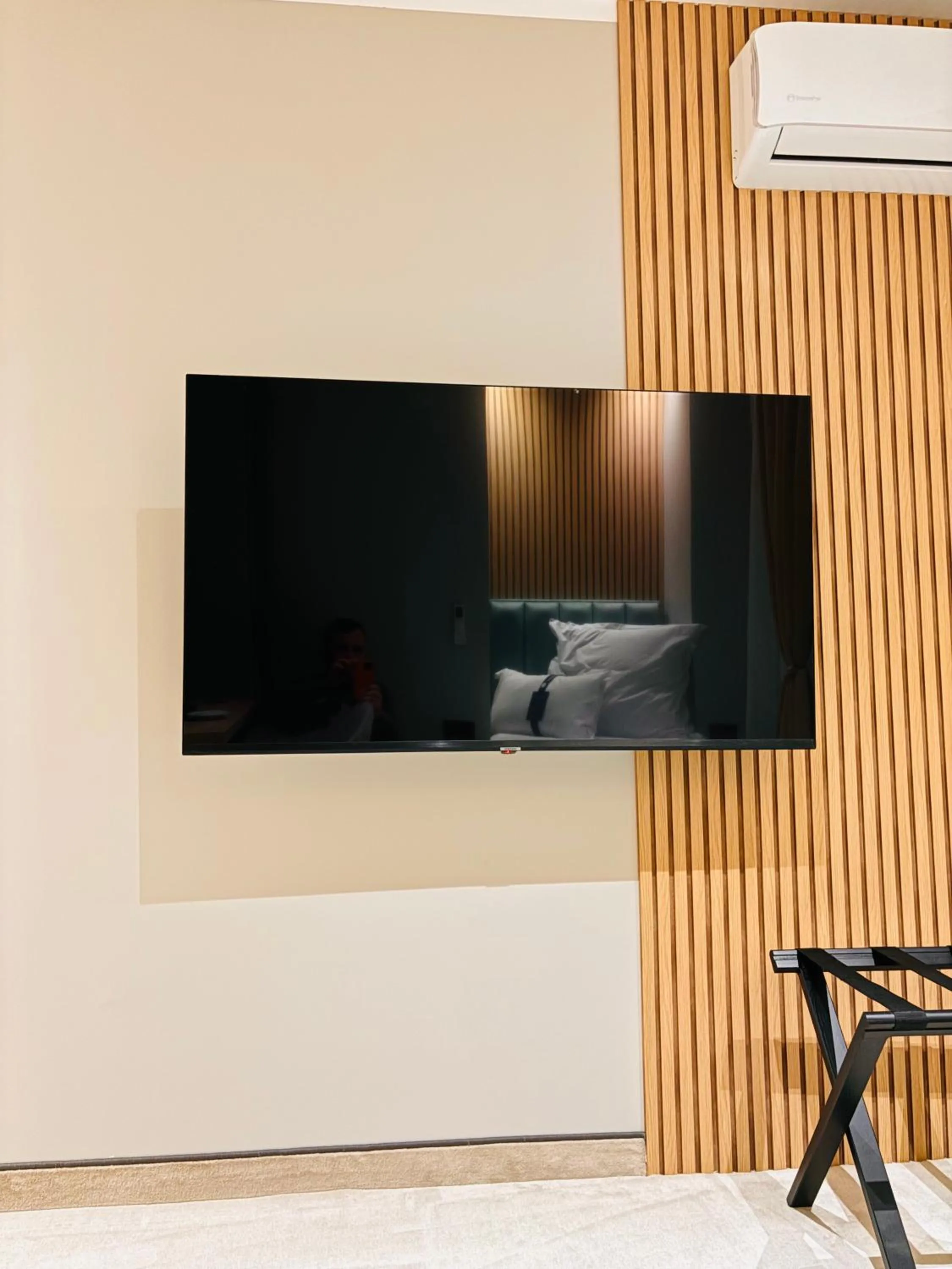 TV and multimedia in Hotel Clipa