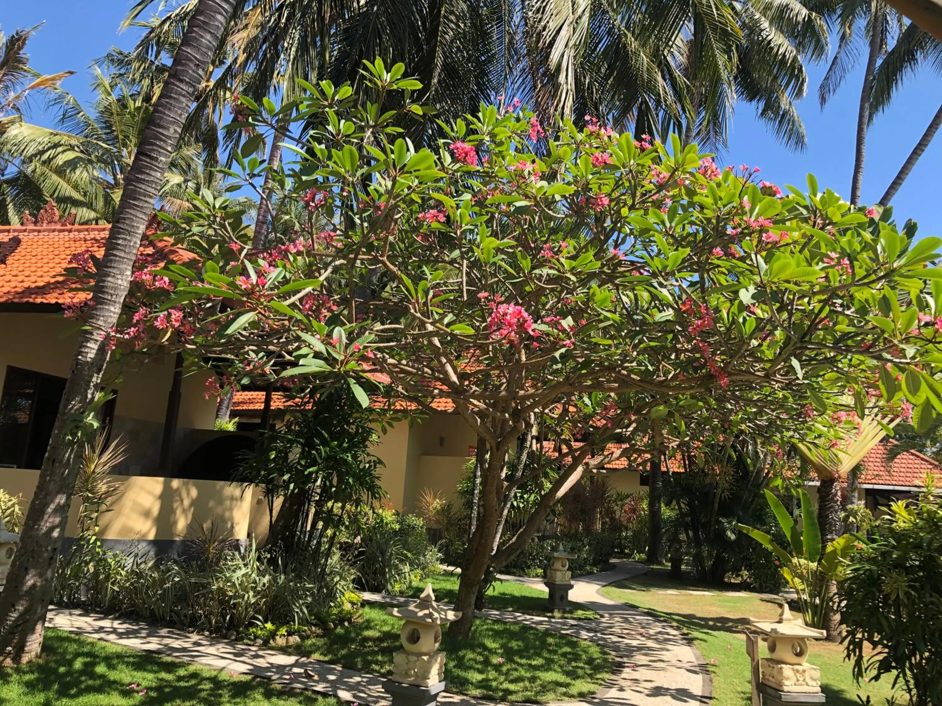 Garden in Teluk Karang Dive & Spa Resort