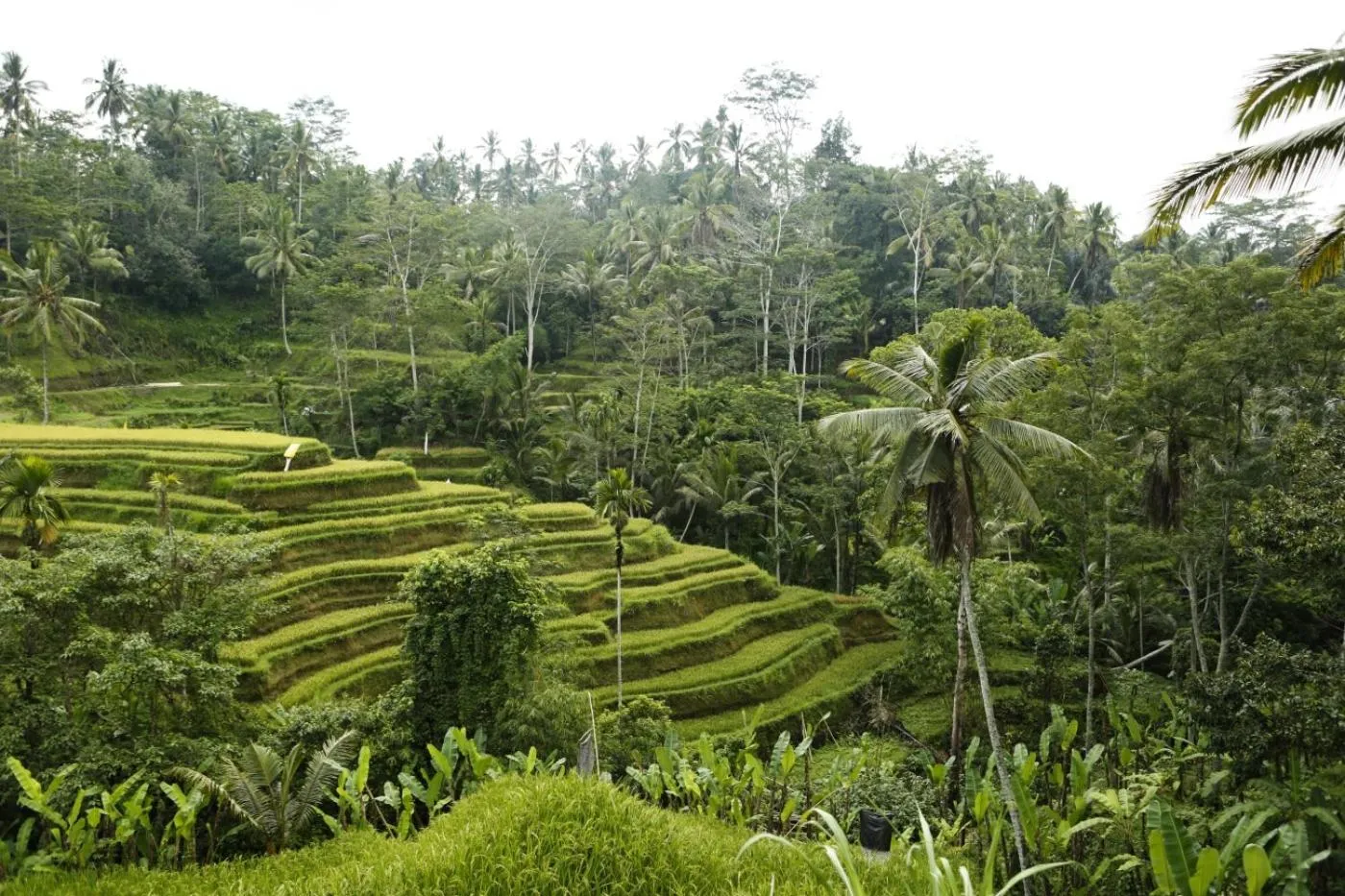Natural landscape in Teluk Karang Dive & Spa Resort