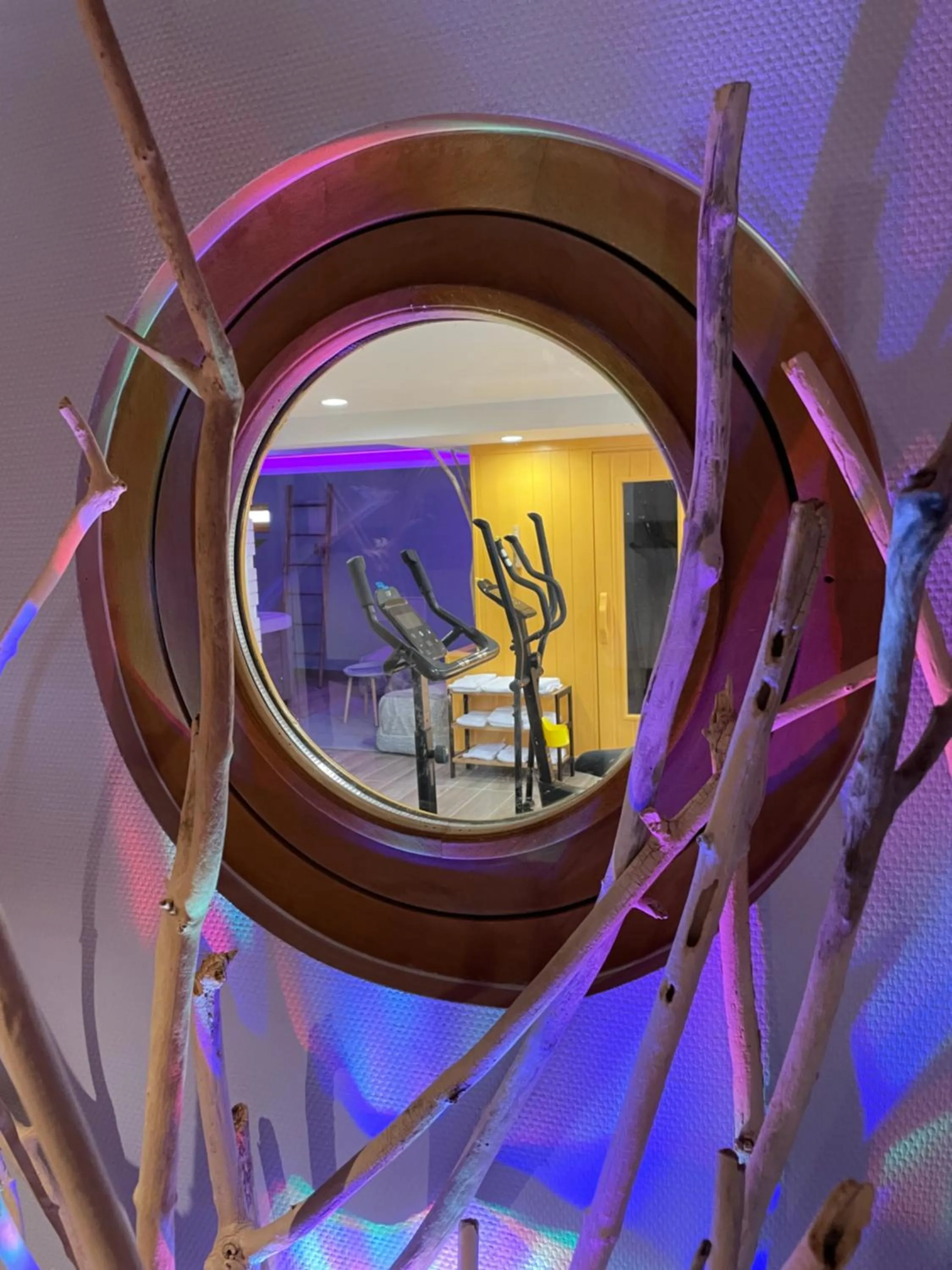 Sauna in Hotel et Spa du Scharrach