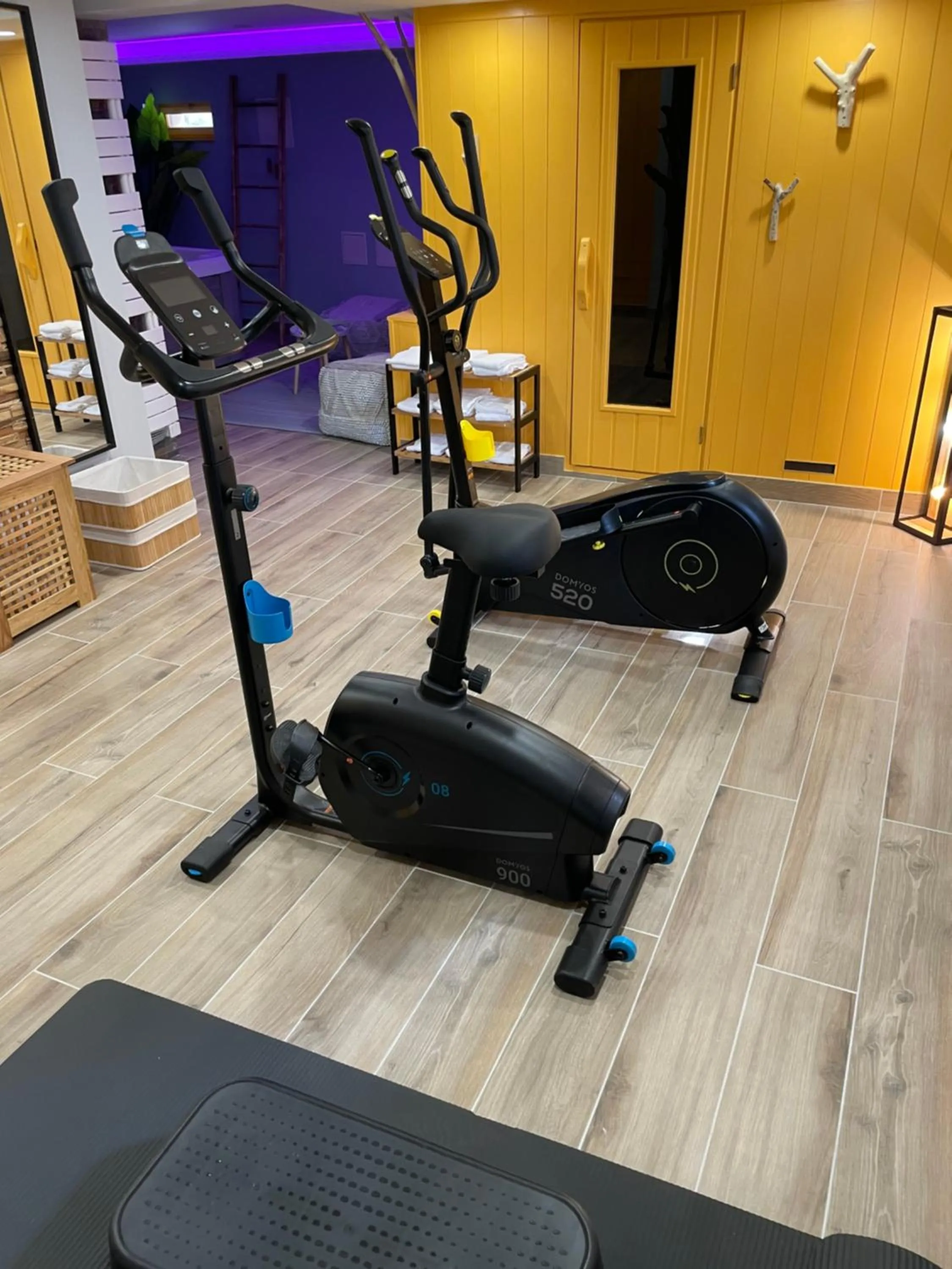 Fitness centre/facilities in Hotel et Spa du Scharrach