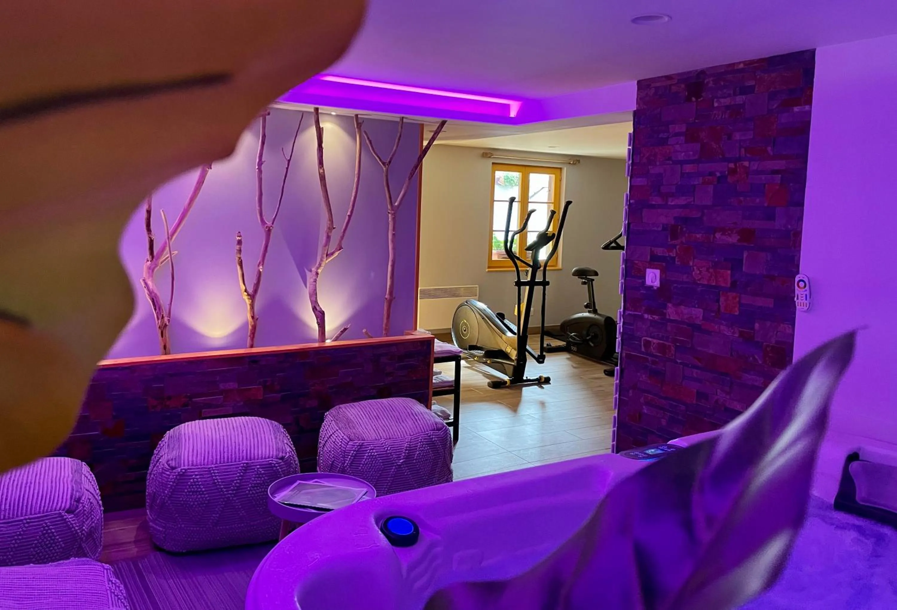 Sauna in Hotel et Spa du Scharrach