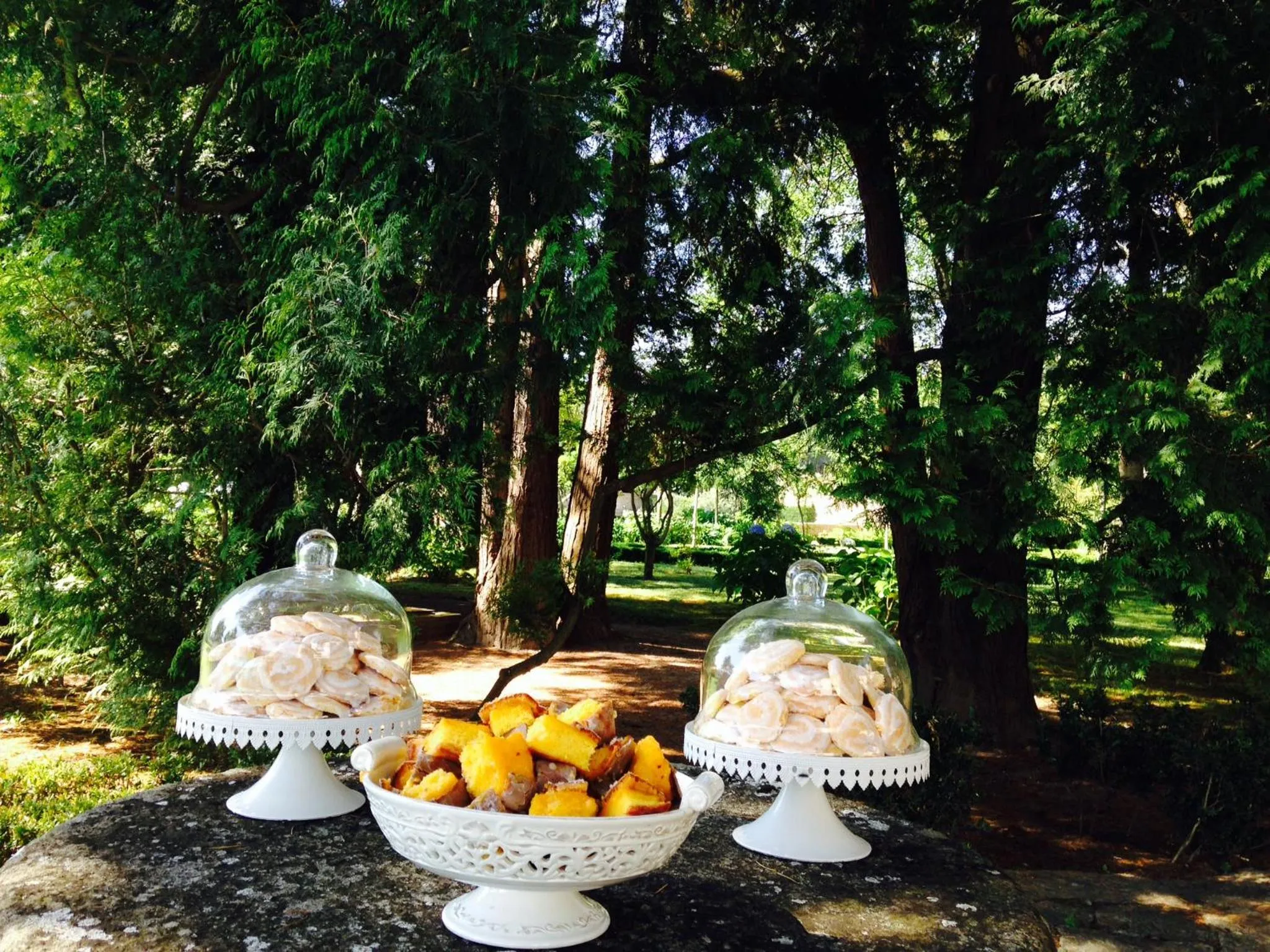 Garden in Hotel Rural Casa dos Viscondes da Varzea