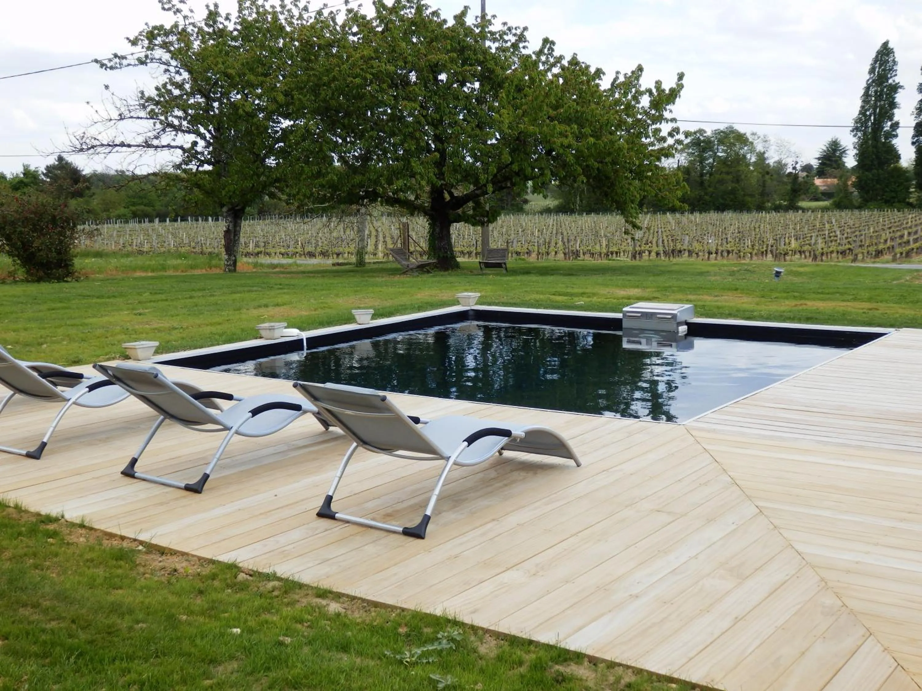 Swimming pool in Chateau La Mothe du Barry