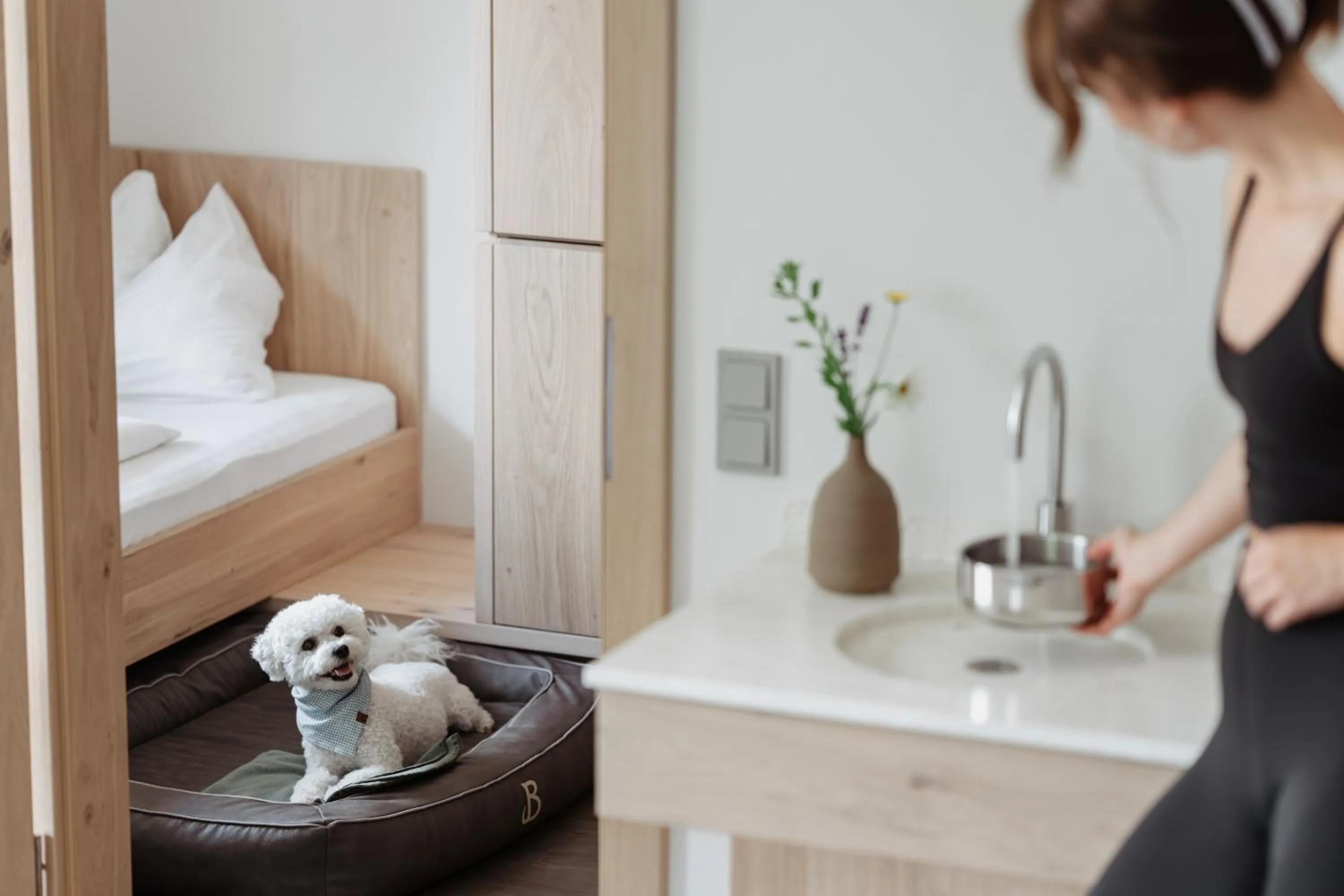 Pets in Boutique Hundehotel Bergzeit