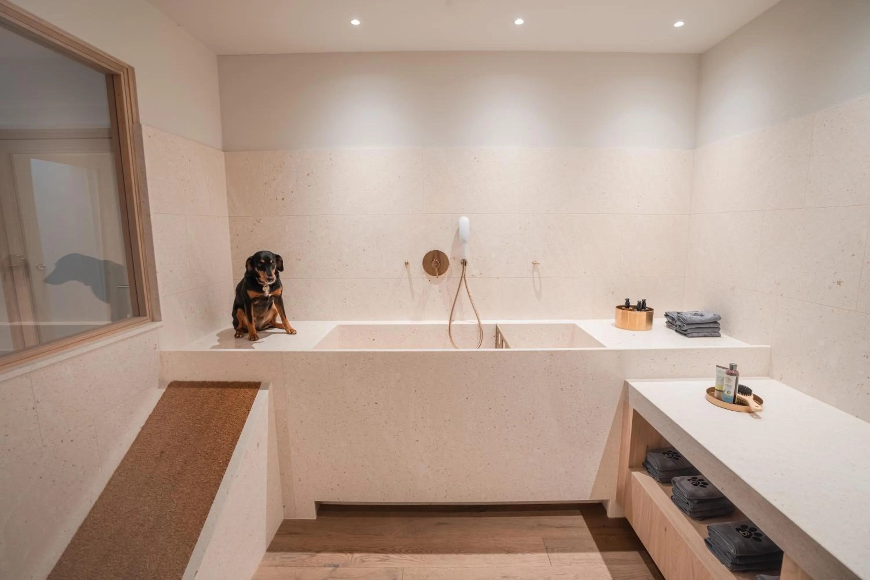 Pets in Boutique Hundehotel Bergzeit