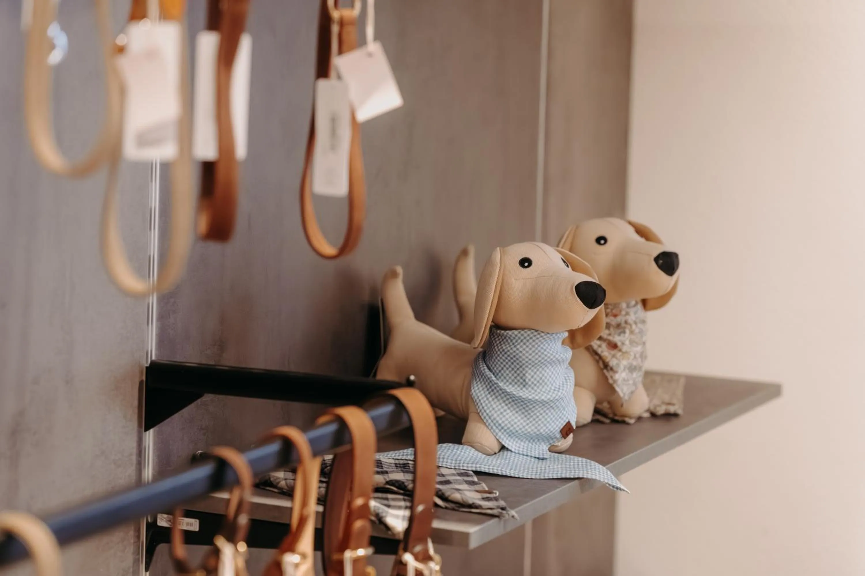 Pets in Boutique Hundehotel Bergzeit