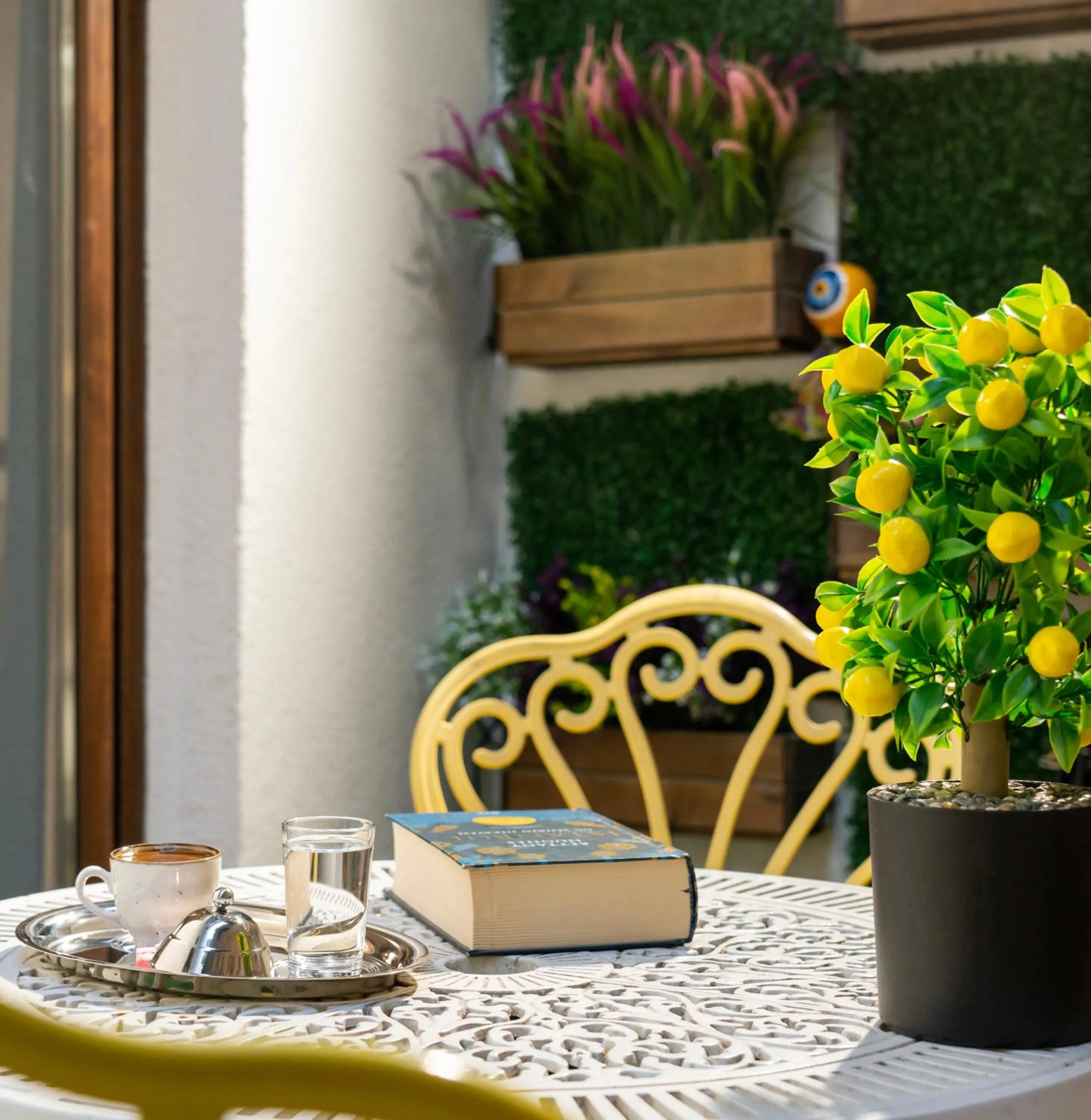 Garden in Royan Suites