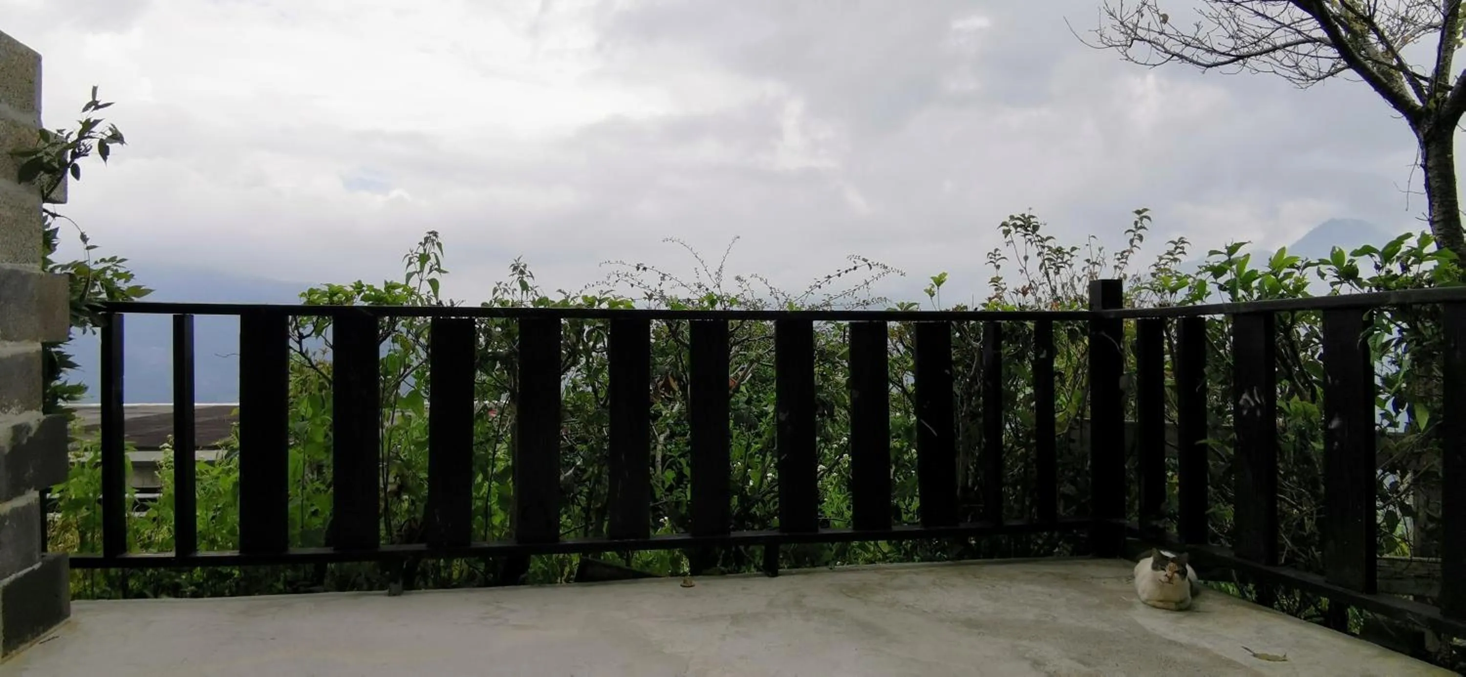 Balcony/Terrace in Villa Relax