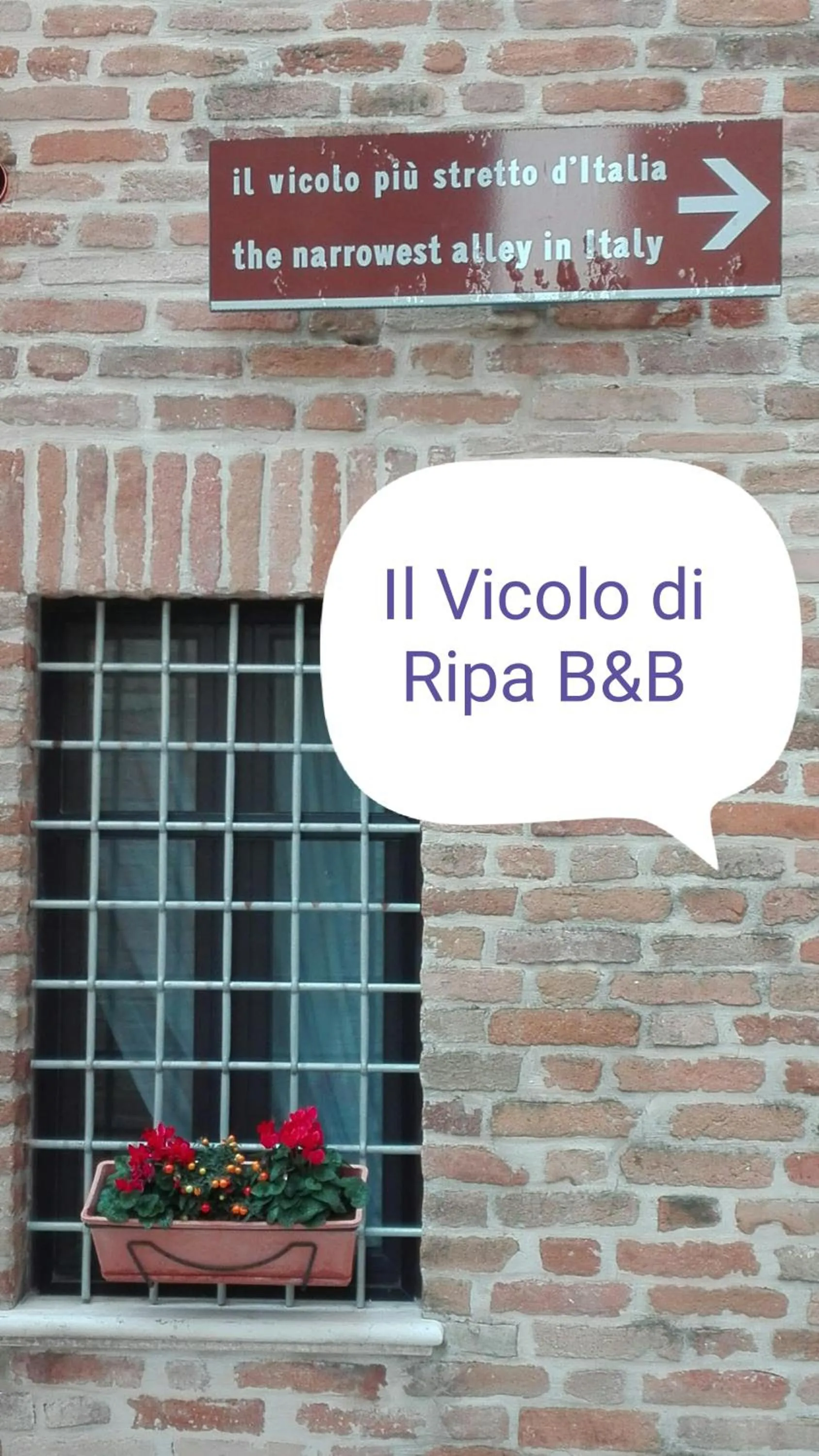 Il Vicolo di Ripa B&b