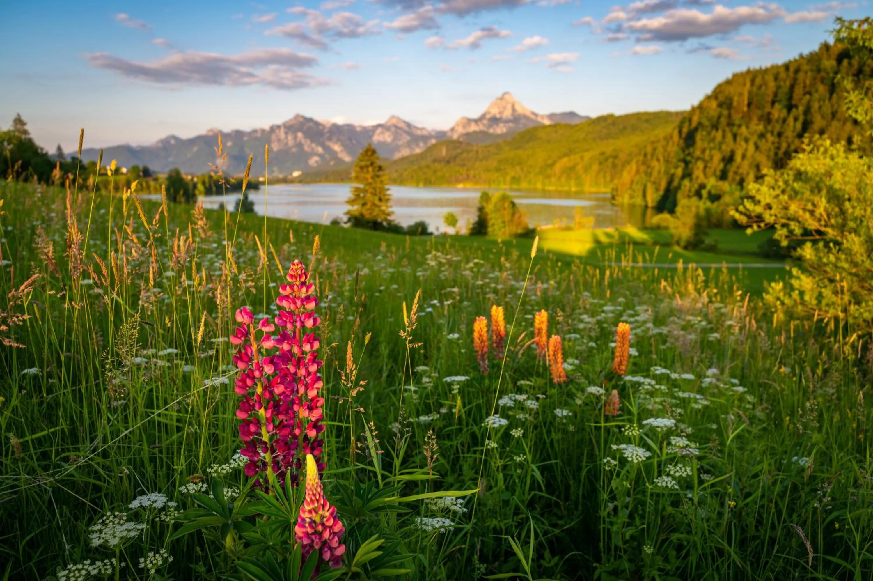 View (from property/room) in Hartungs Hoteldorf