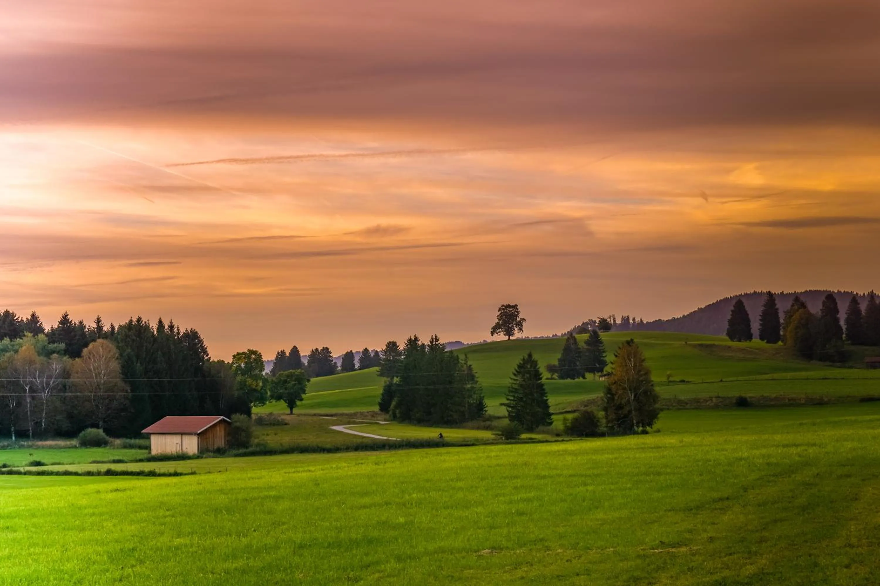 Staff in Hartungs Hoteldorf