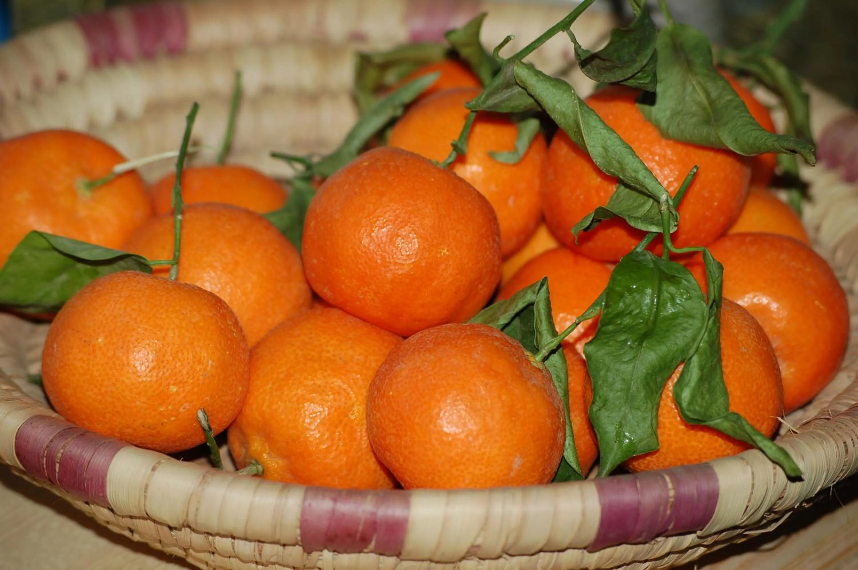 Food and drinks in Dar Margot Marrakech