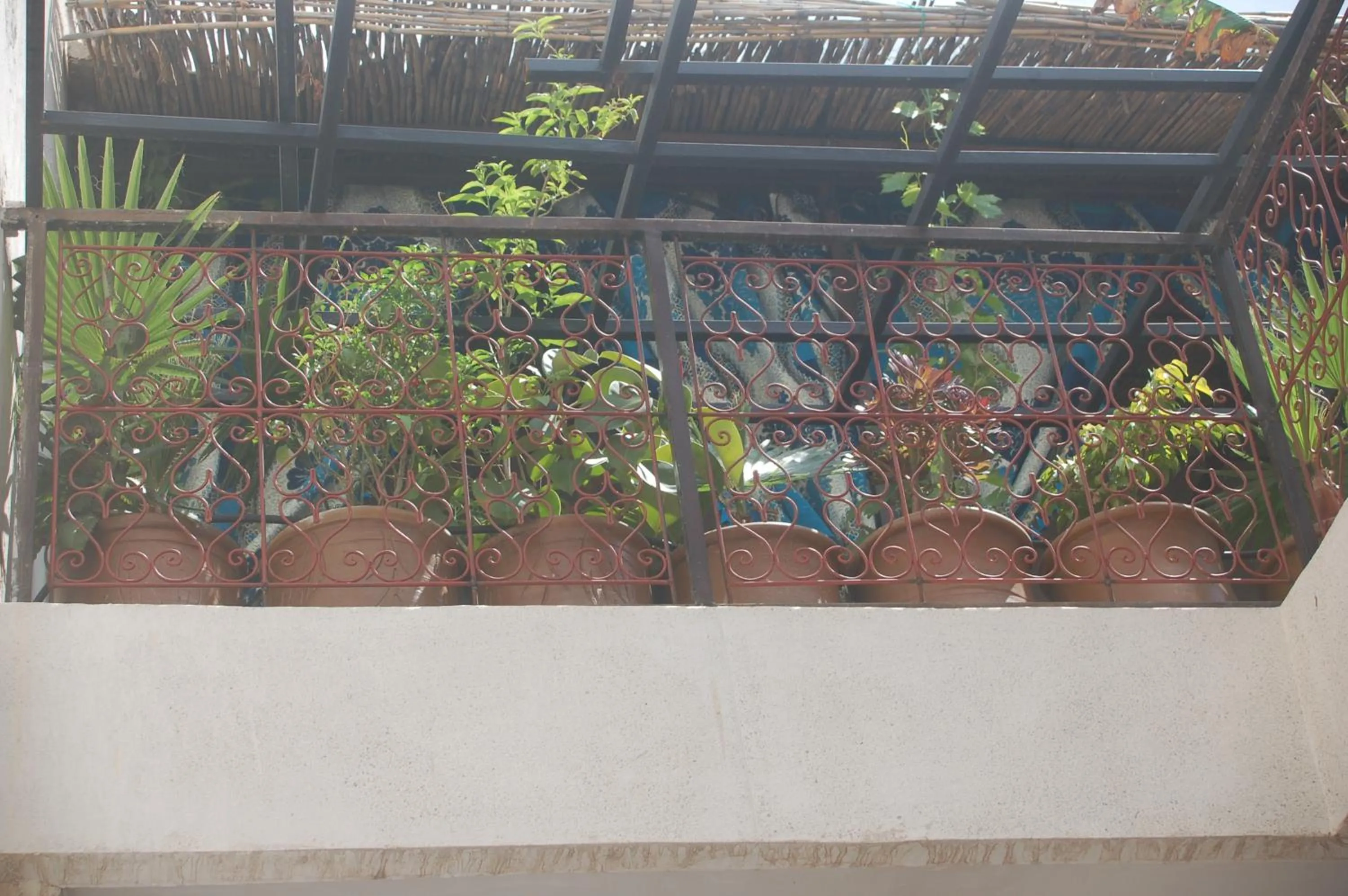 Property building in Dar Margot Marrakech