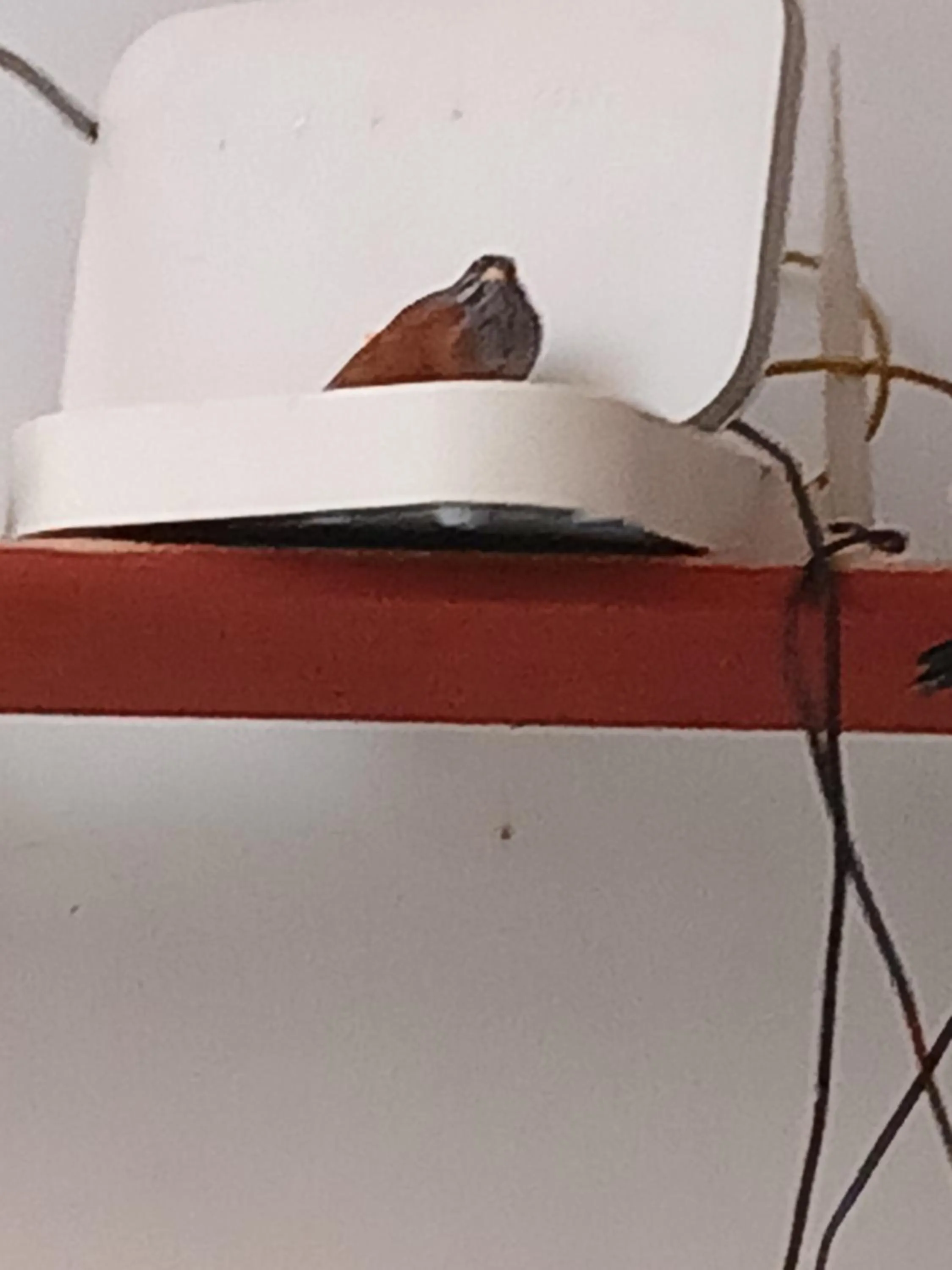 Property building in Dar Margot Marrakech