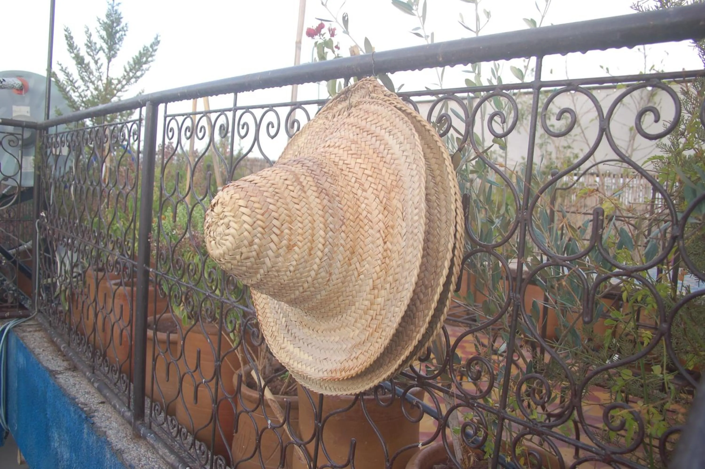 Property building in Dar Margot Marrakech