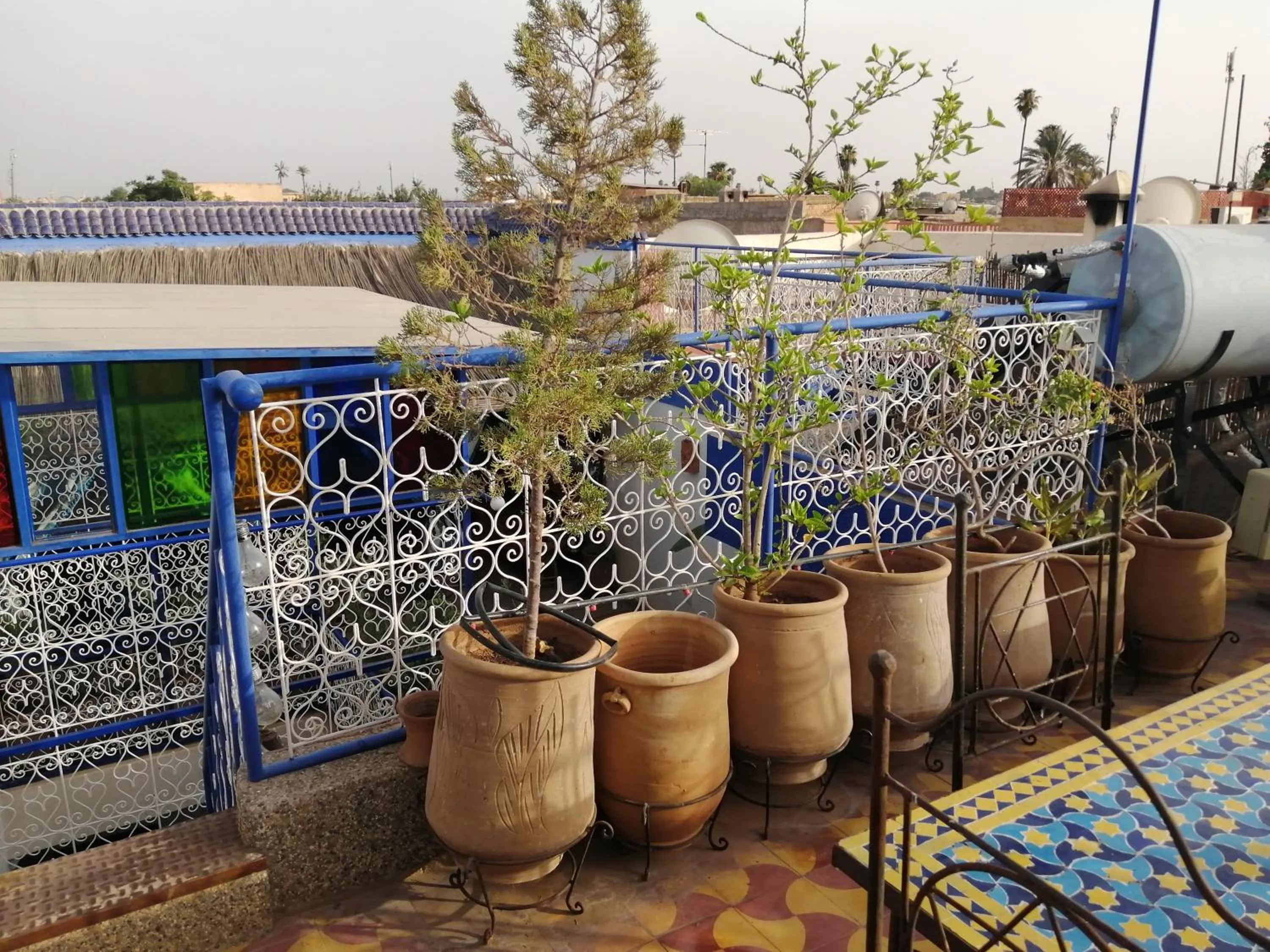 Garden in Dar Margot Marrakech