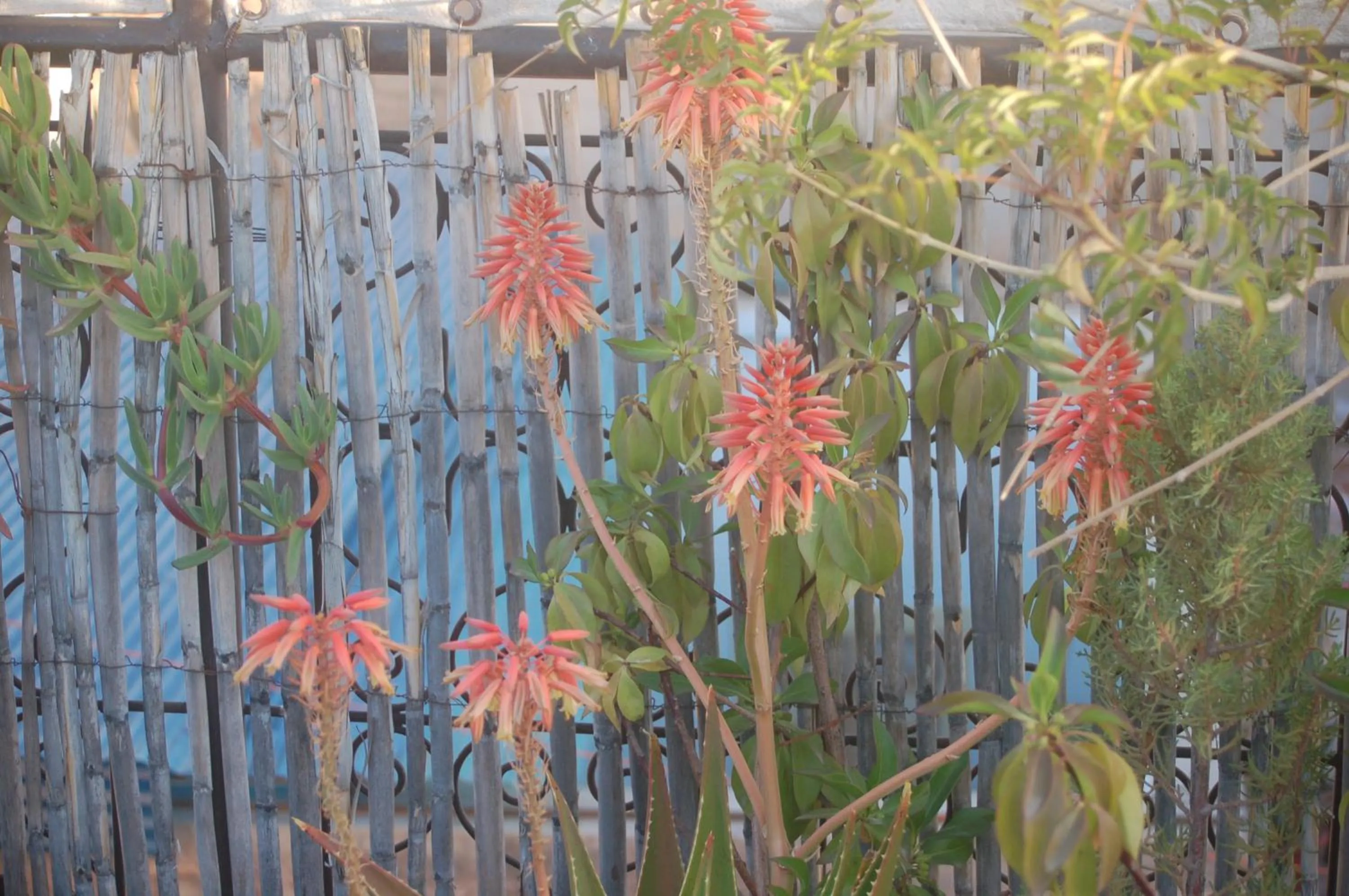 Property building in Dar Margot Marrakech