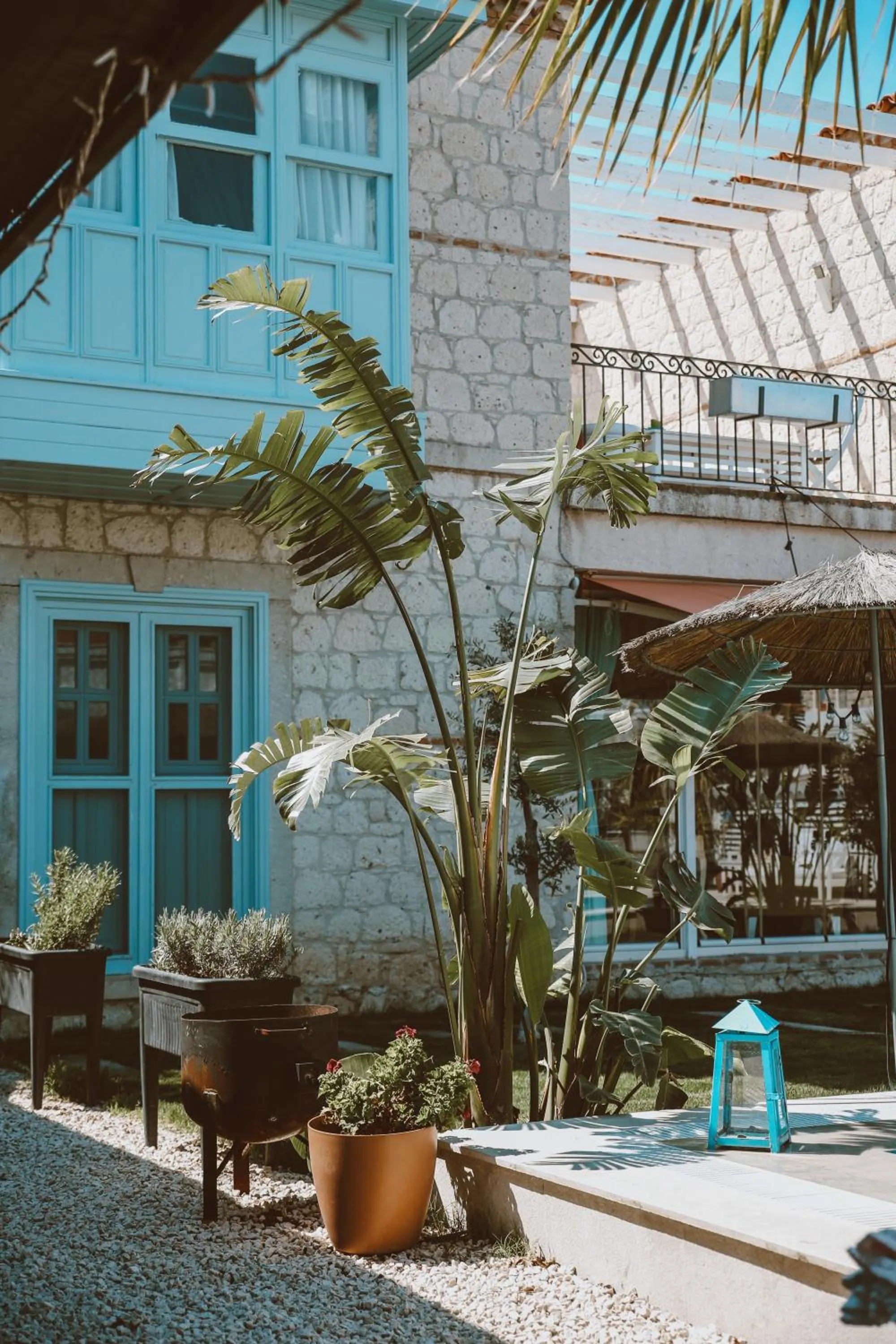 Garden view in Katre Hotel Alaçatı