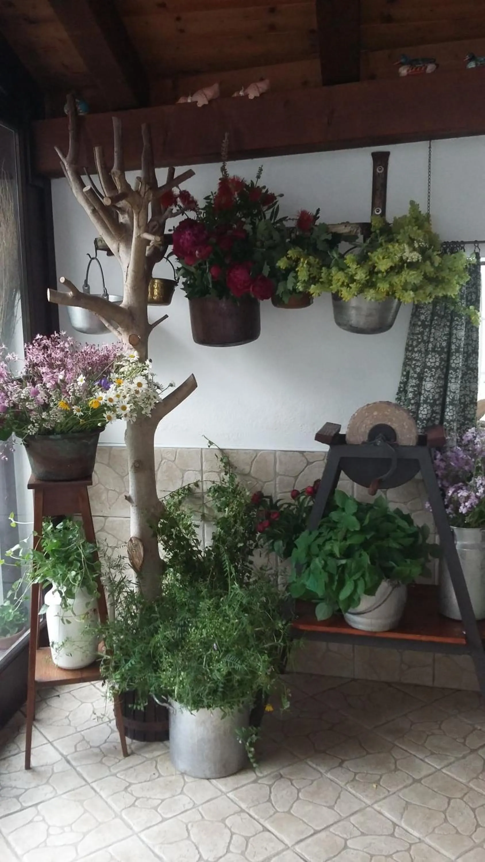 B&B SCACCIA PENSIERI