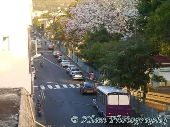 Neighbourhood in La Plaine Verte Guesthouse