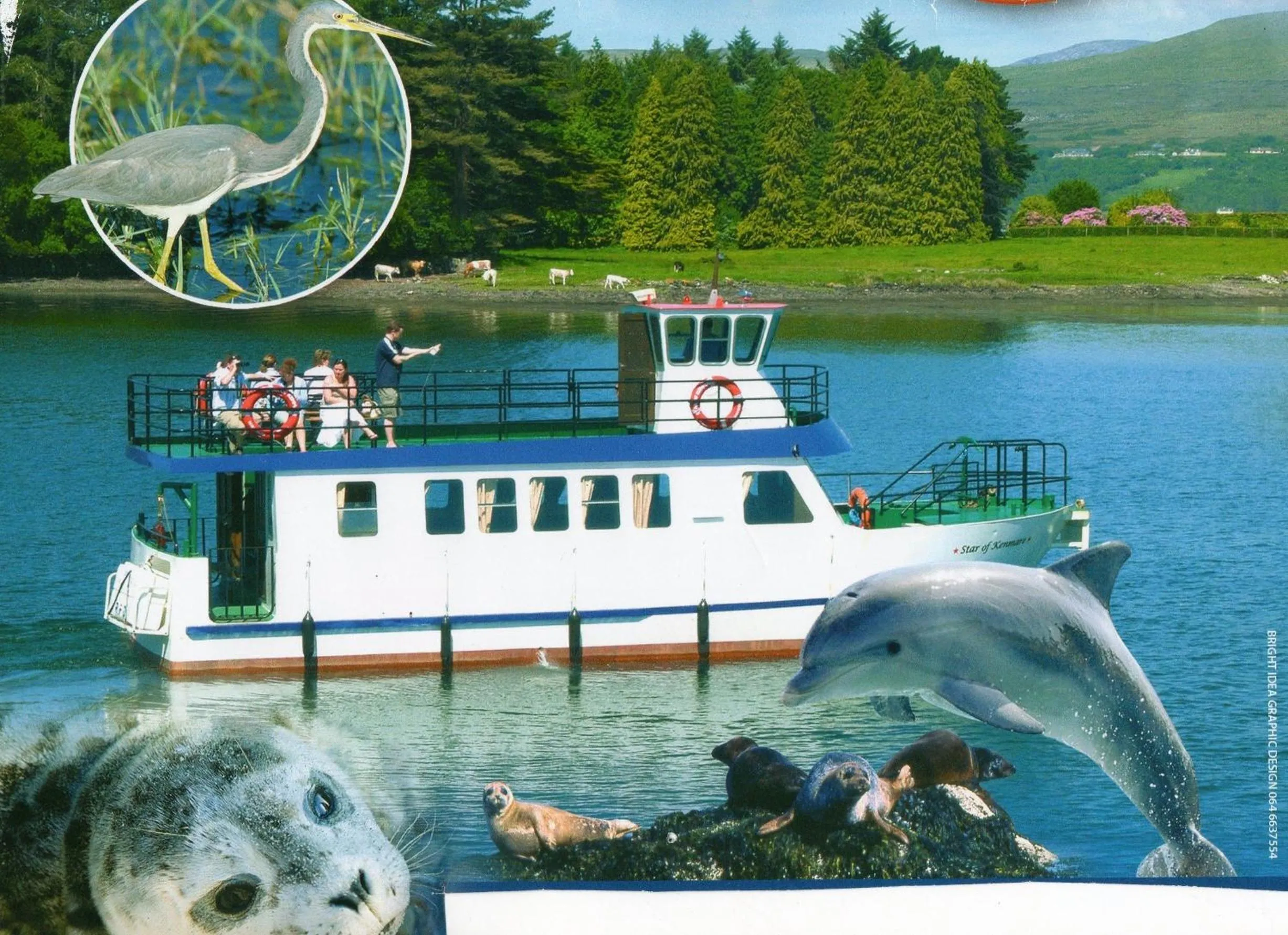 Text overlay in Harbour View