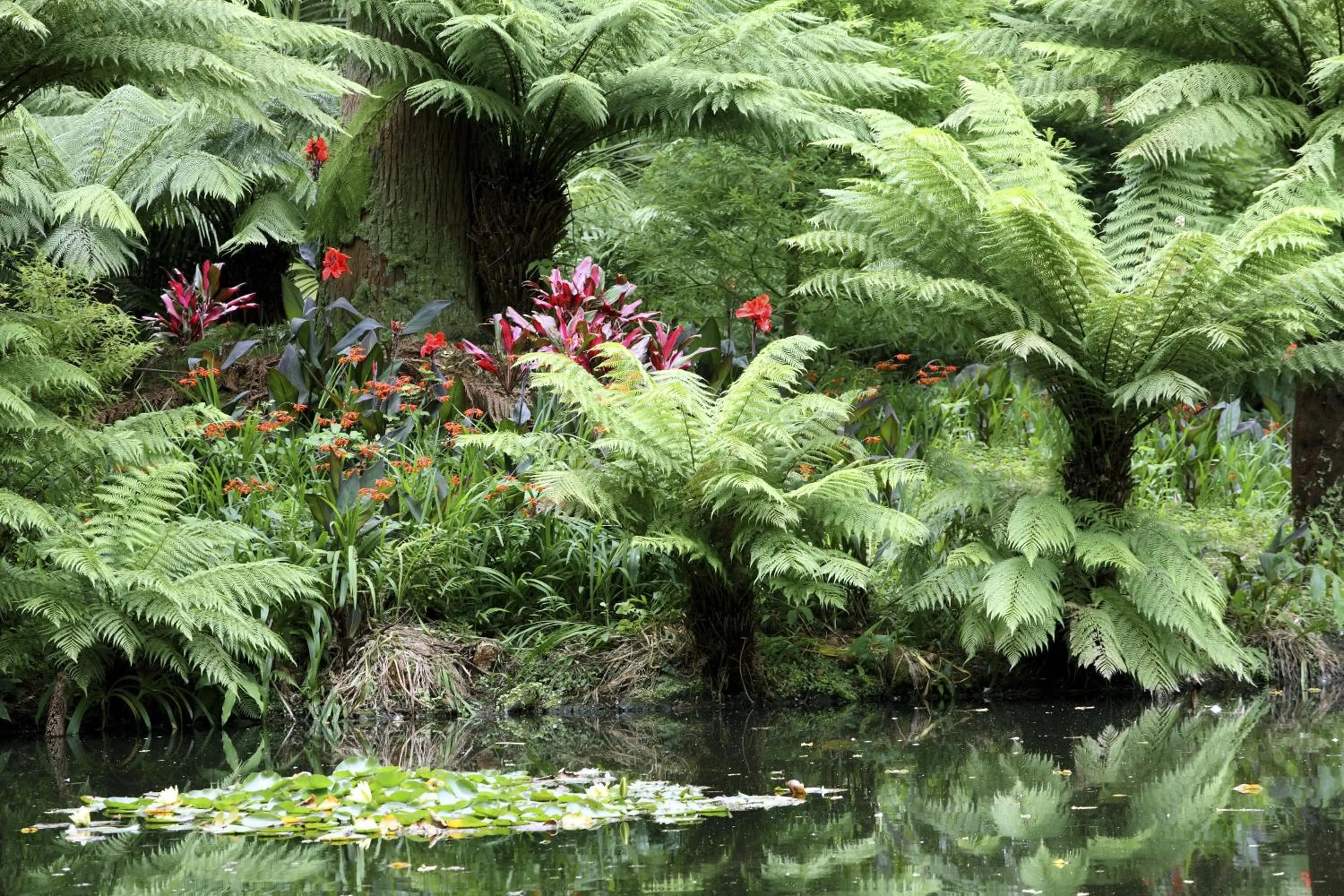 Natural landscape in Octant Furnas