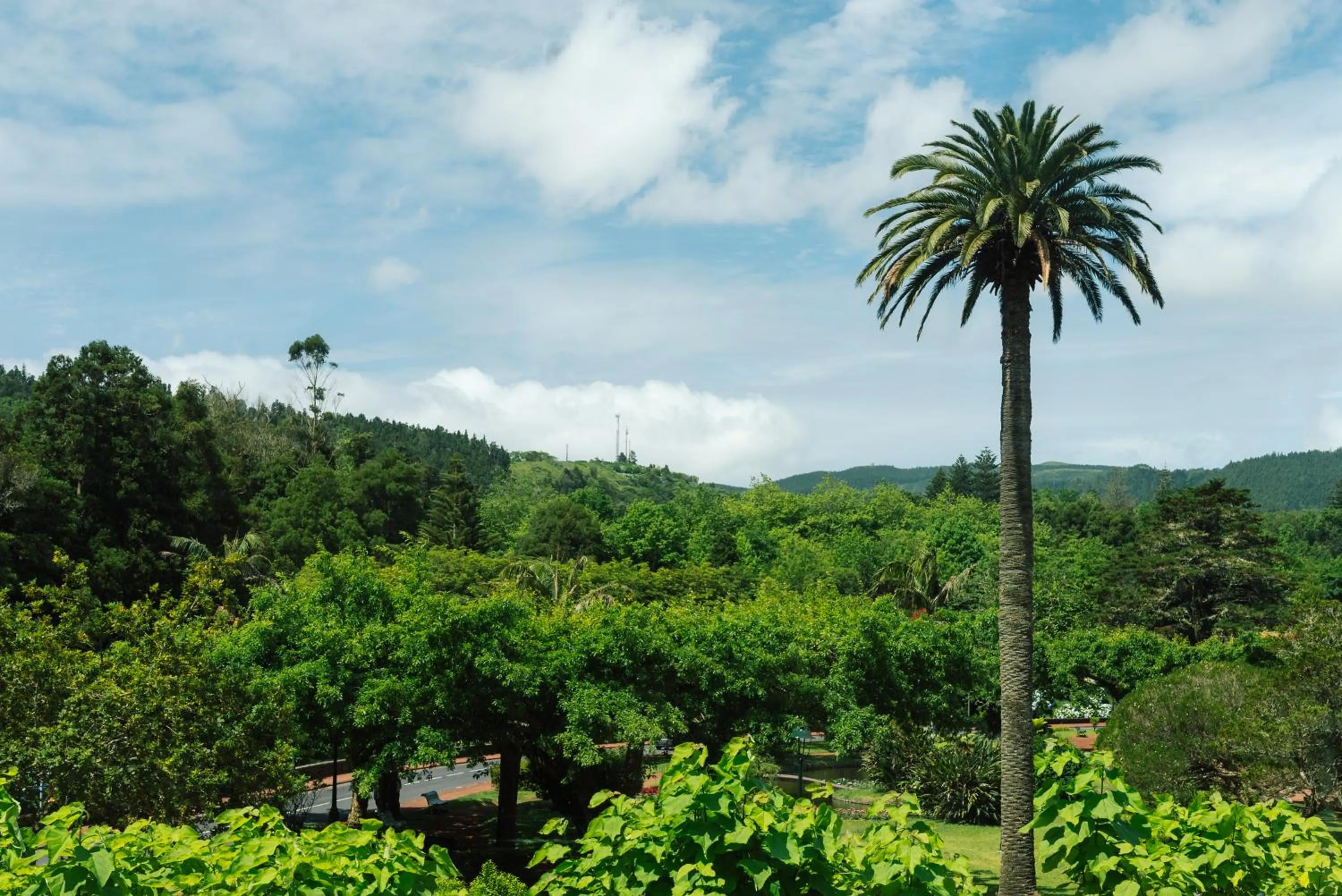 Natural landscape in Octant Furnas