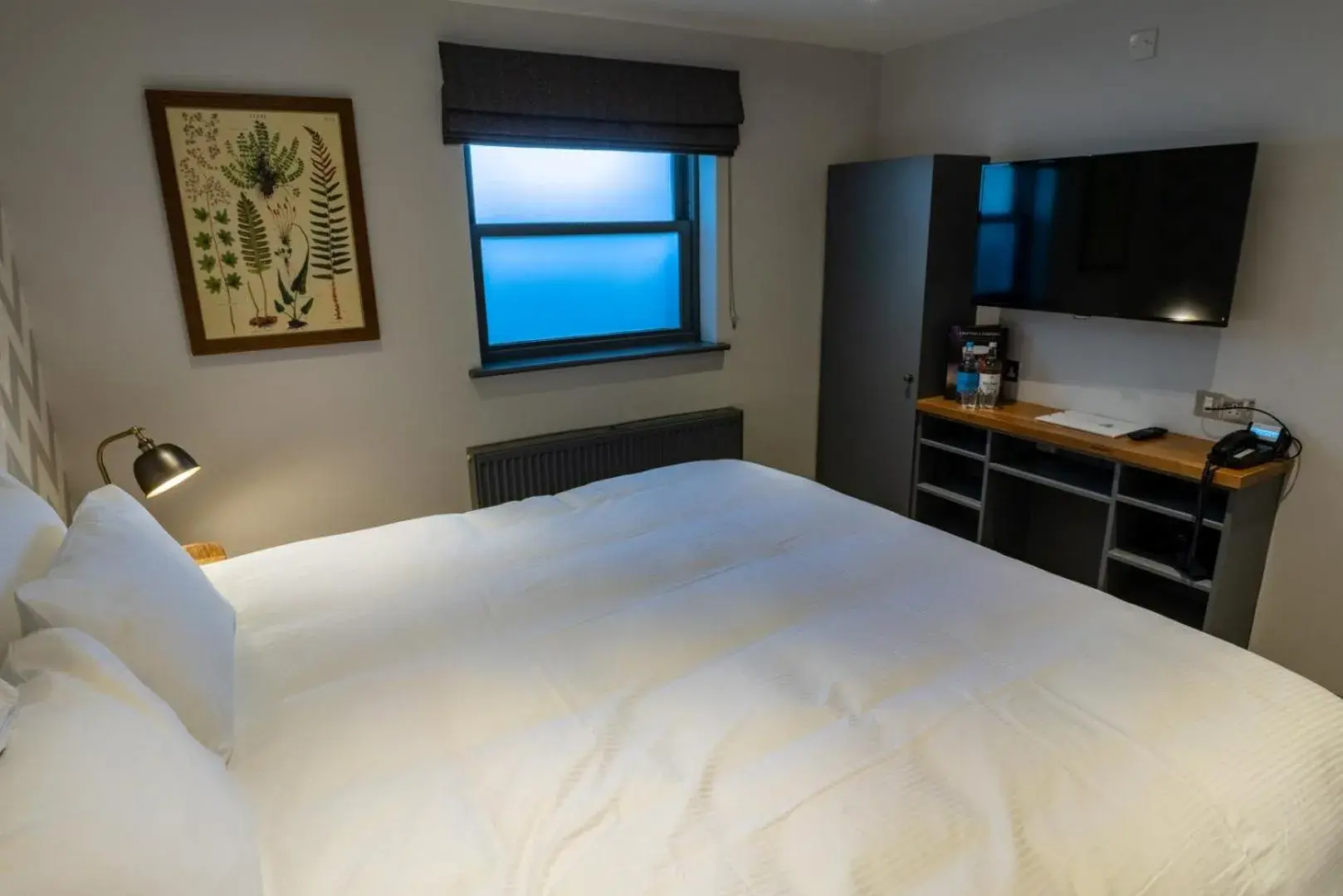 Double or Twin Room in Albert Arms Double or Twin Room in Albert Arms