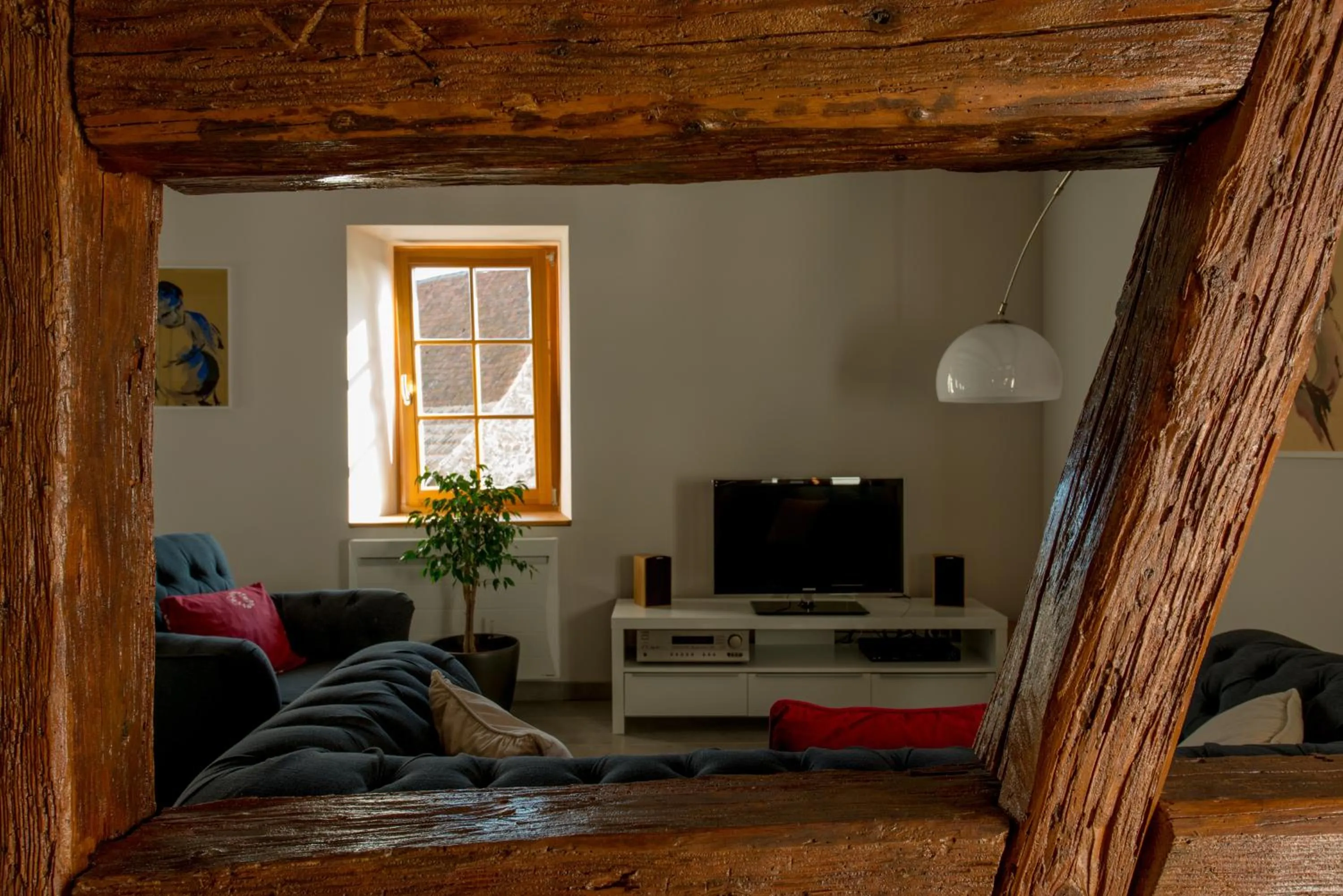 TV and multimedia in La Maison d'Emilie