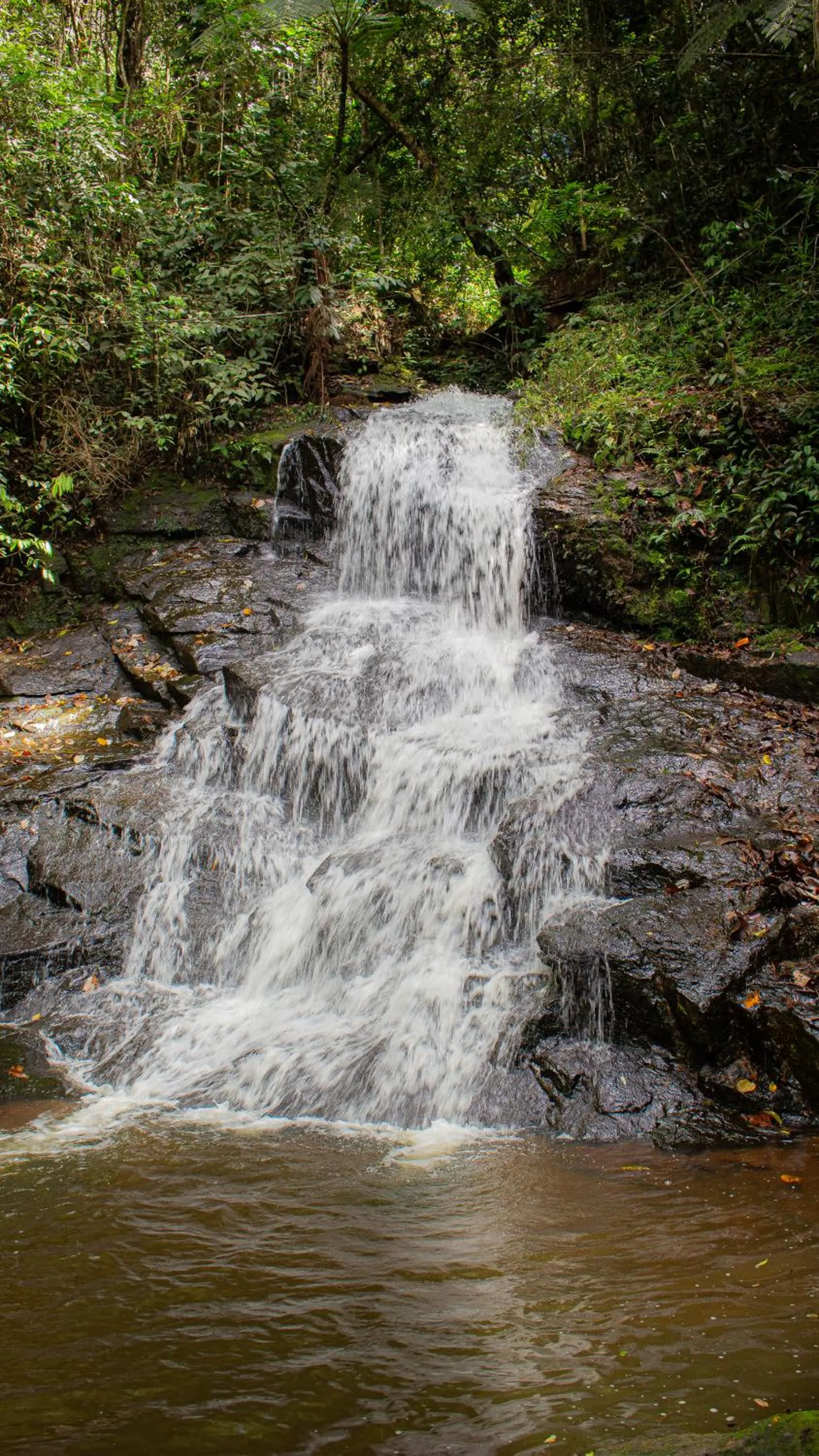 Natural landscape in Hotel Fazenda Pé da Serra