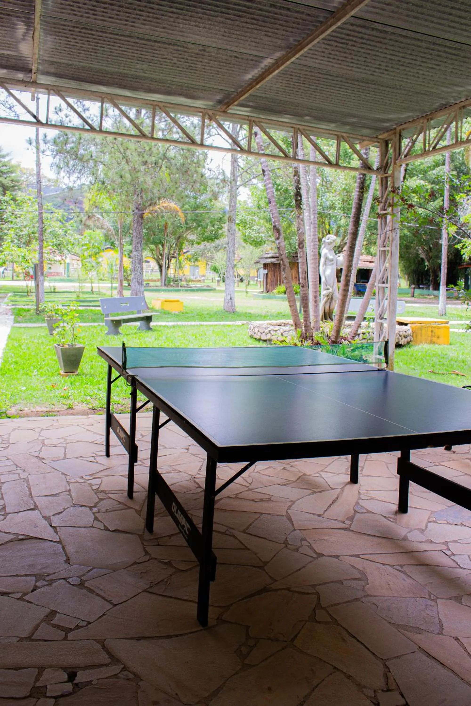 Table tennis in Hotel Fazenda Pé da Serra