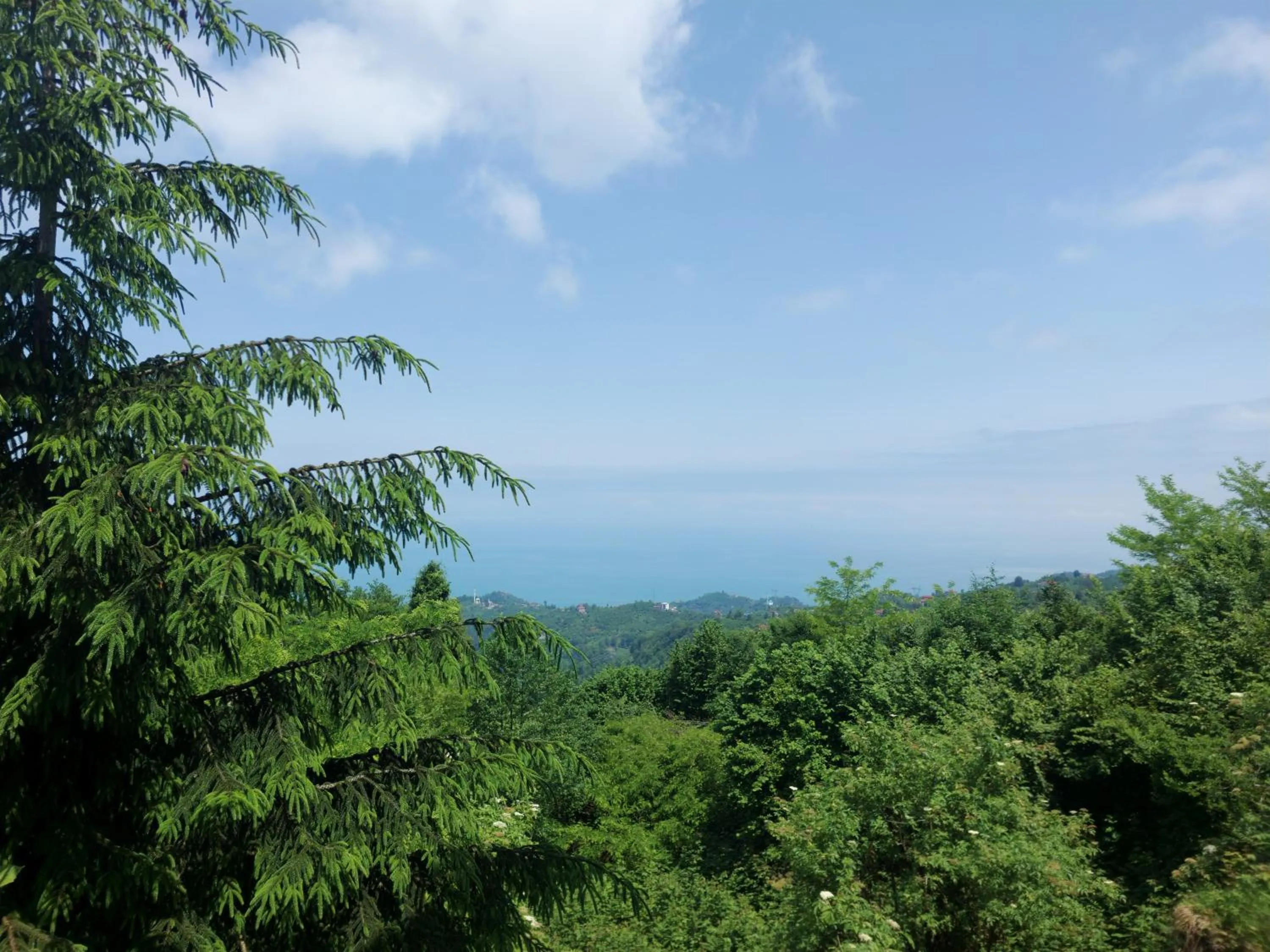 Spring in Zarha Mountain Villas