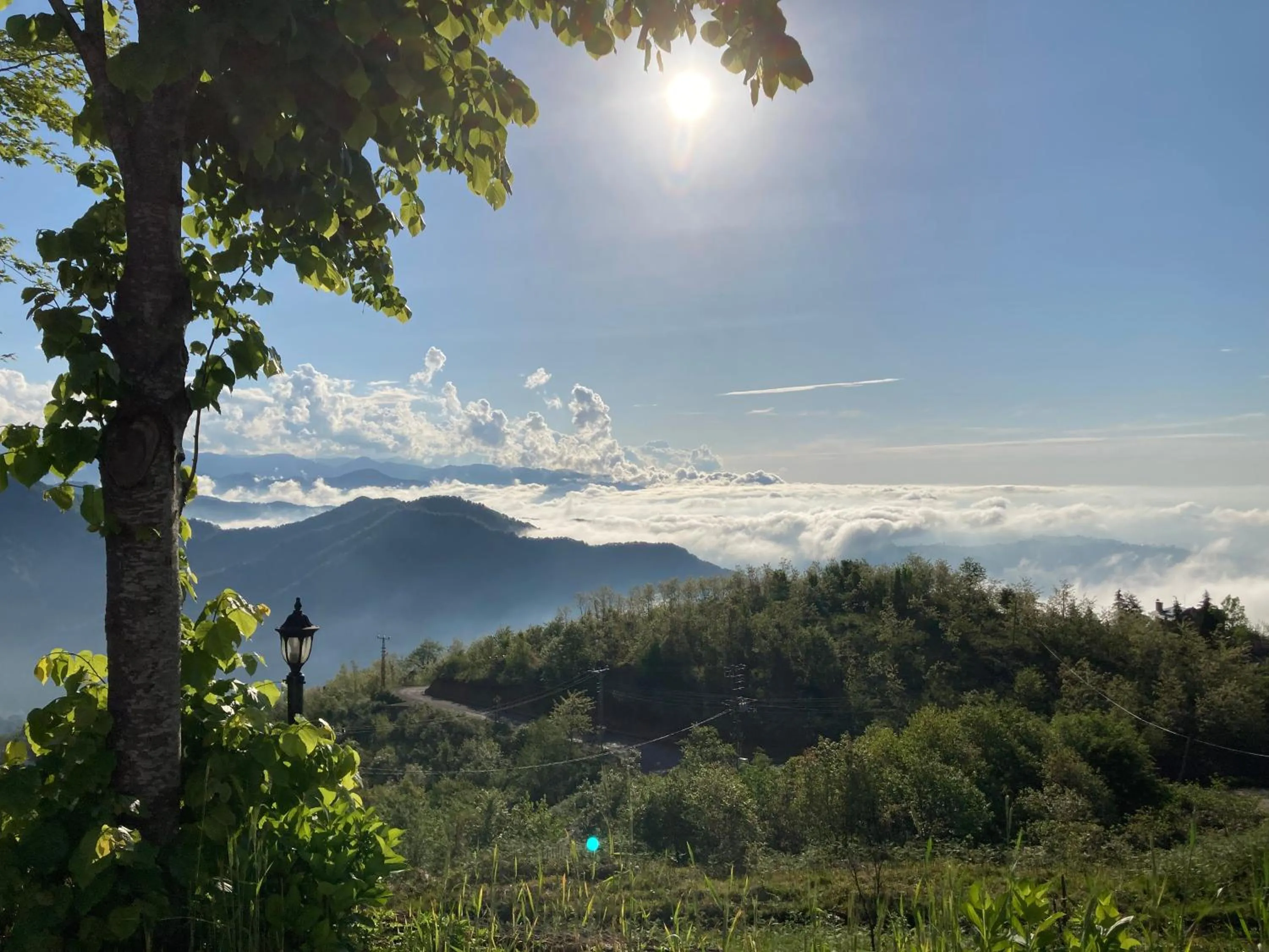 Garden in Zarha Mountain Villas