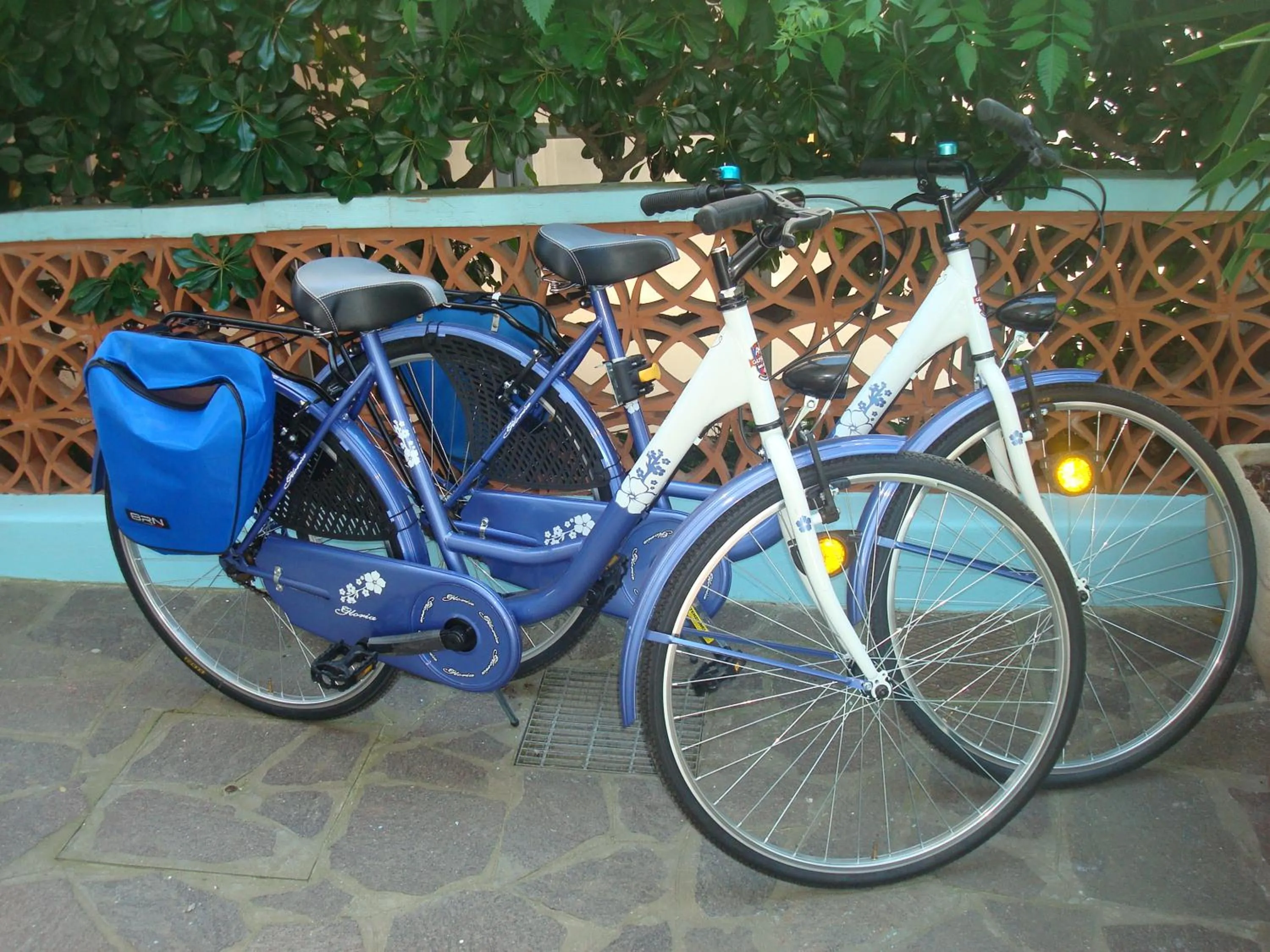 Activities in Hotel Villa Ersilia Rimini B&B