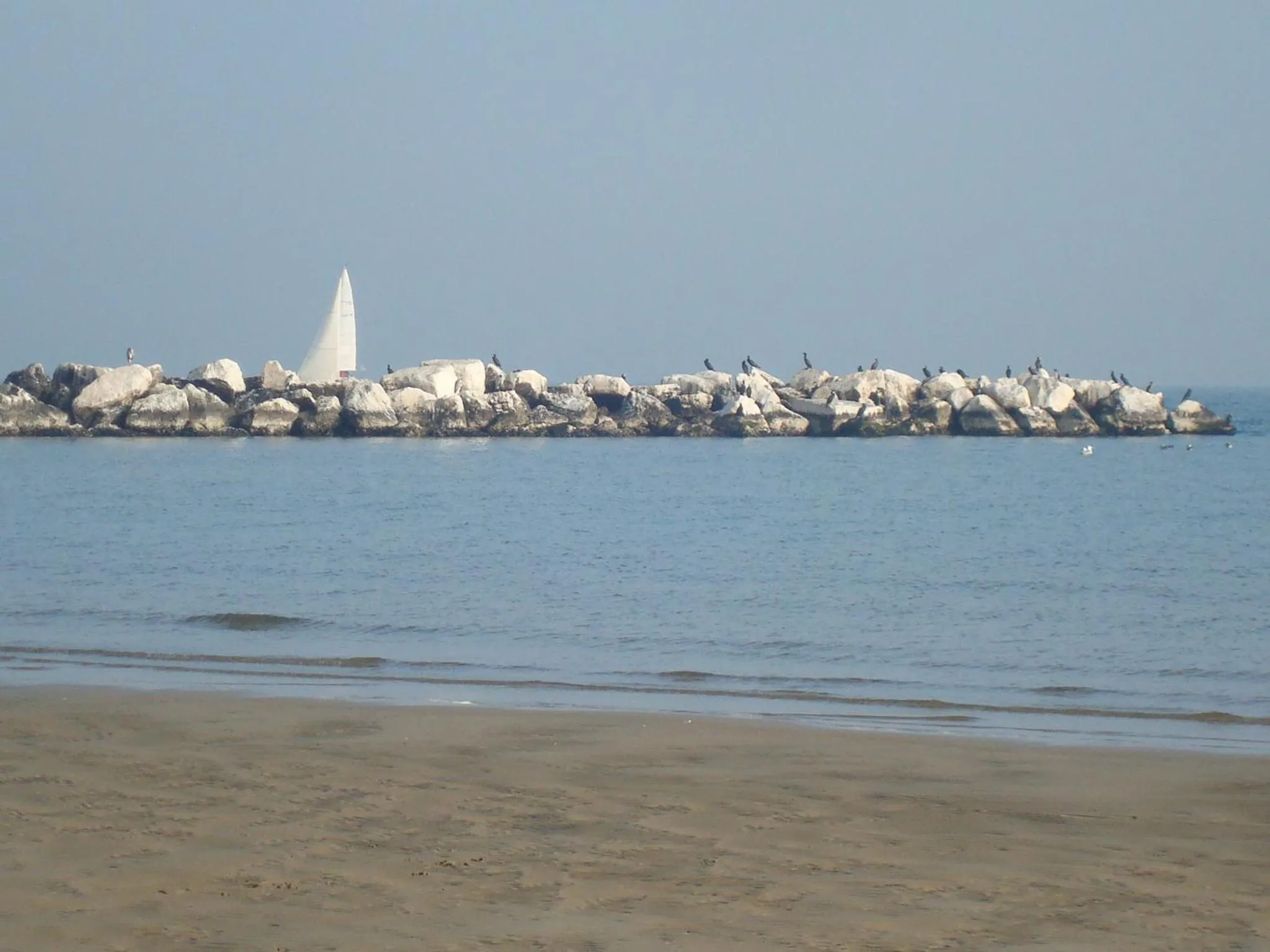 Beach in Hotel Villa Ersilia Rimini B&B