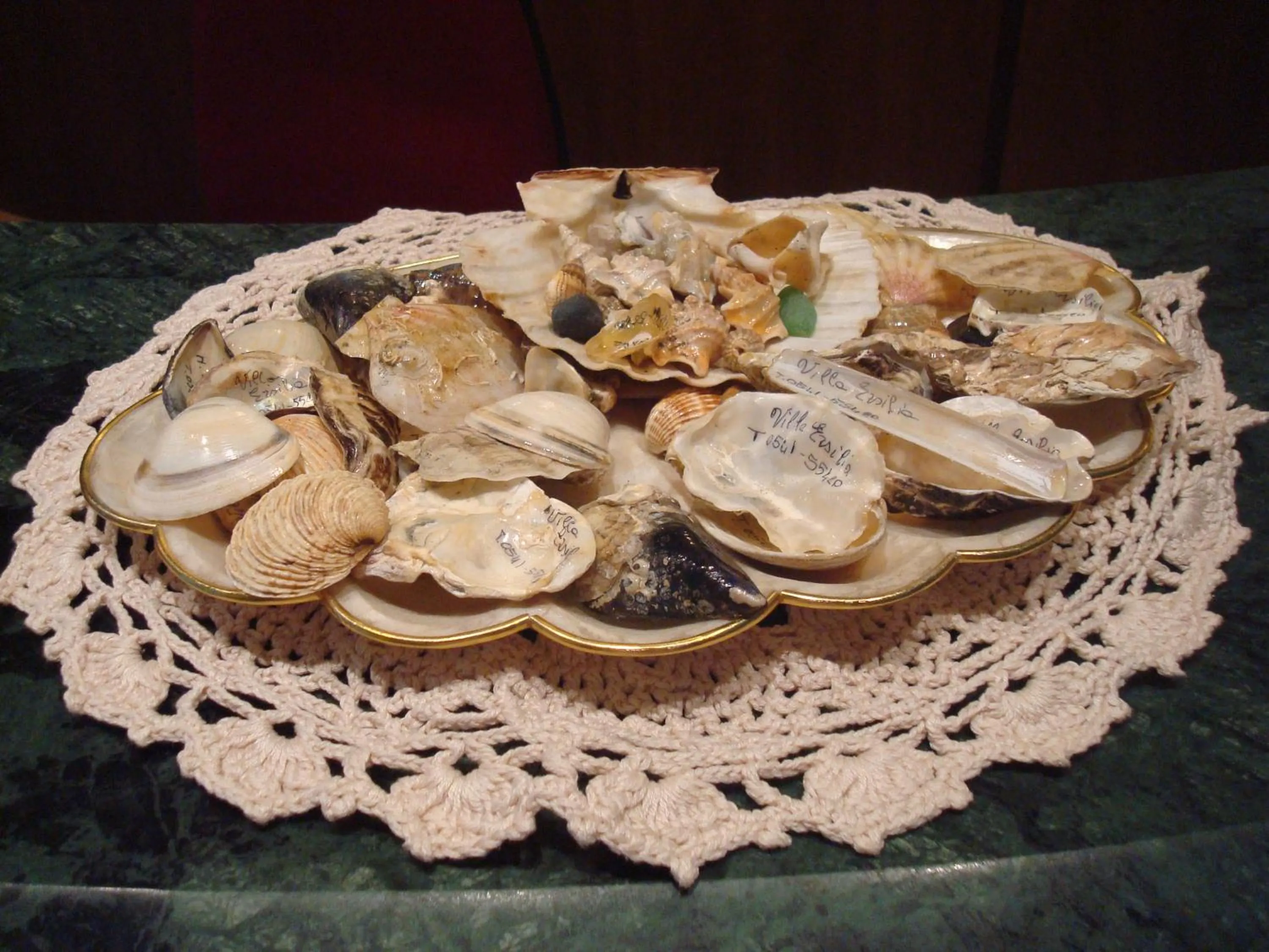 Decorative detail in Hotel Villa Ersilia Rimini B&B