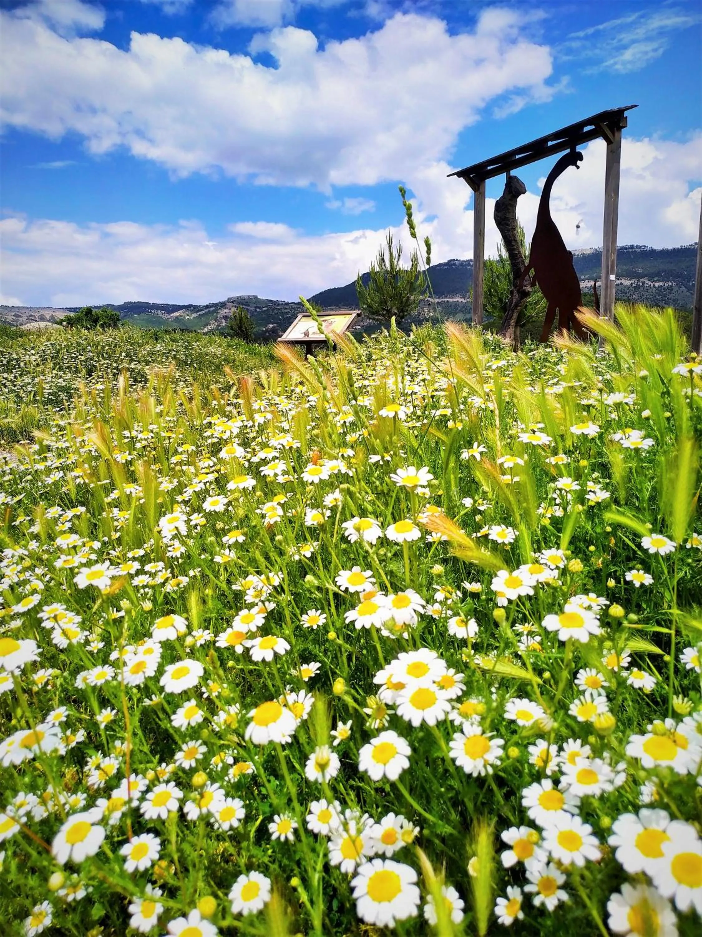 Activities in Hotel Rural Curia