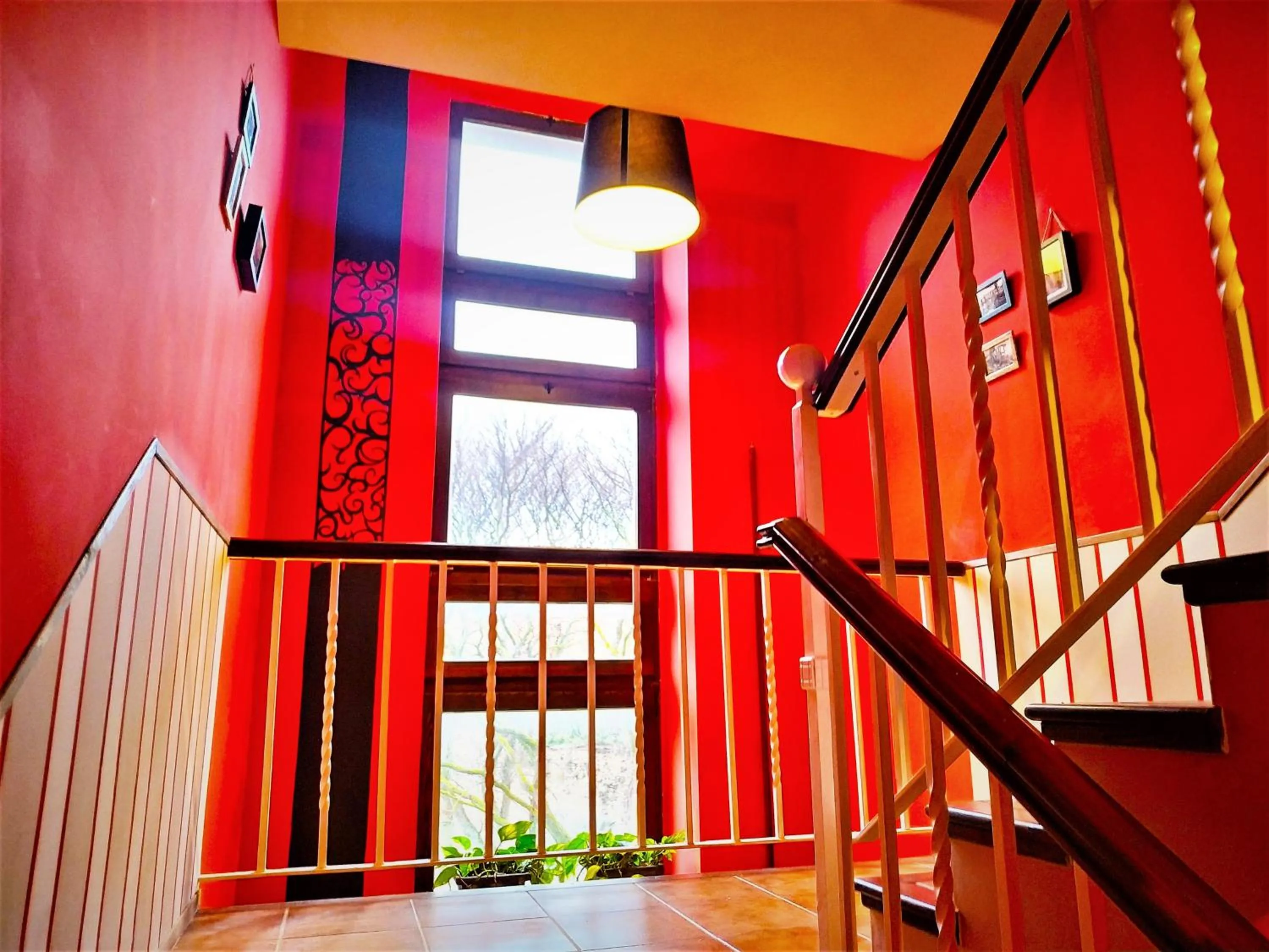 Area and facilities in Hotel Rural Curia