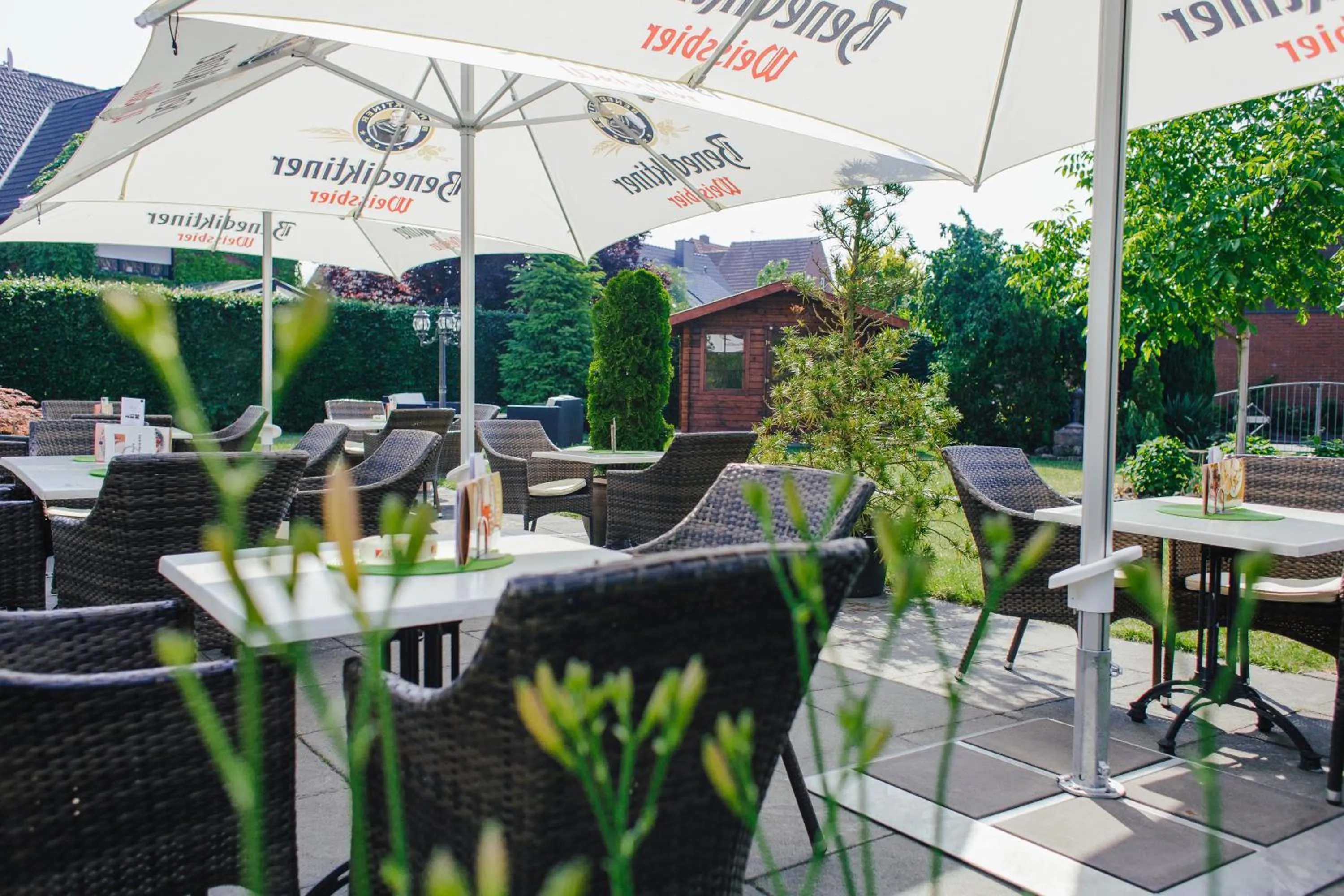 Garden view in Hotel Bolte