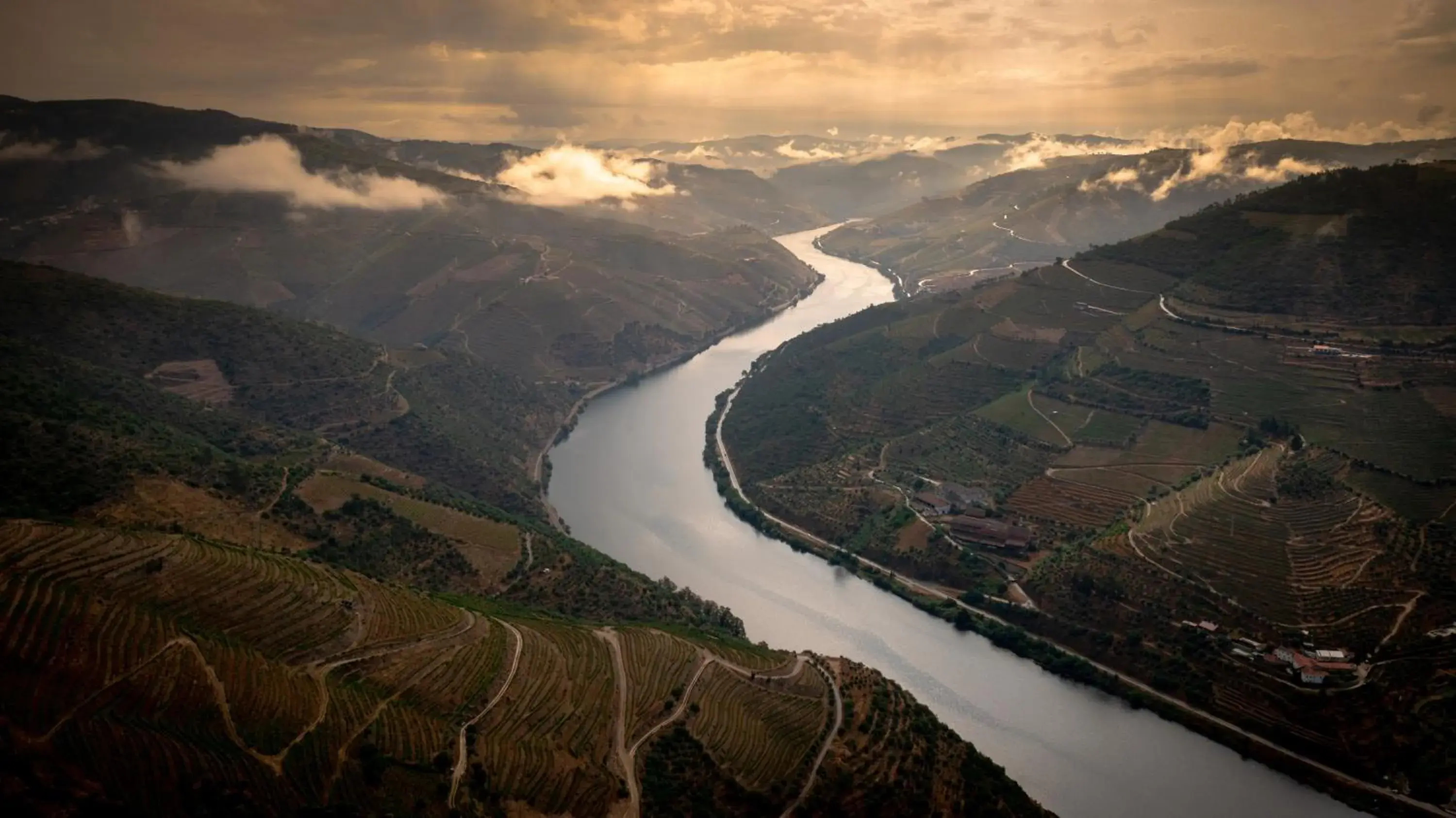 Mountain view in Hotel Folgosa Douro Mountain view in Hotel Folgosa Douro