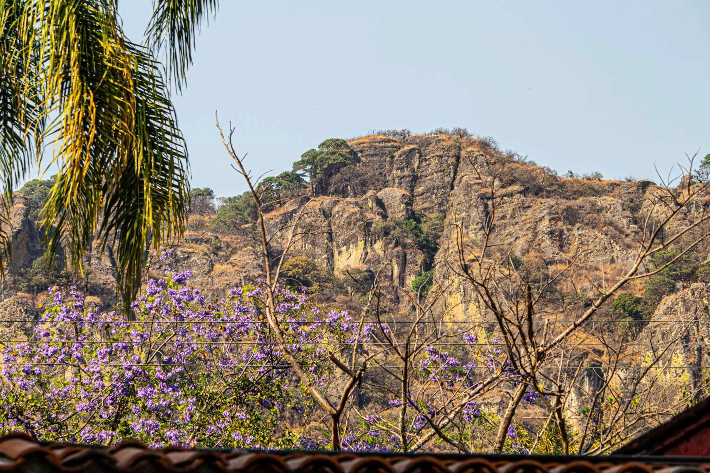 Spring in Casa Bugambilia, Un Pequeño Hotel en Tepoztlán