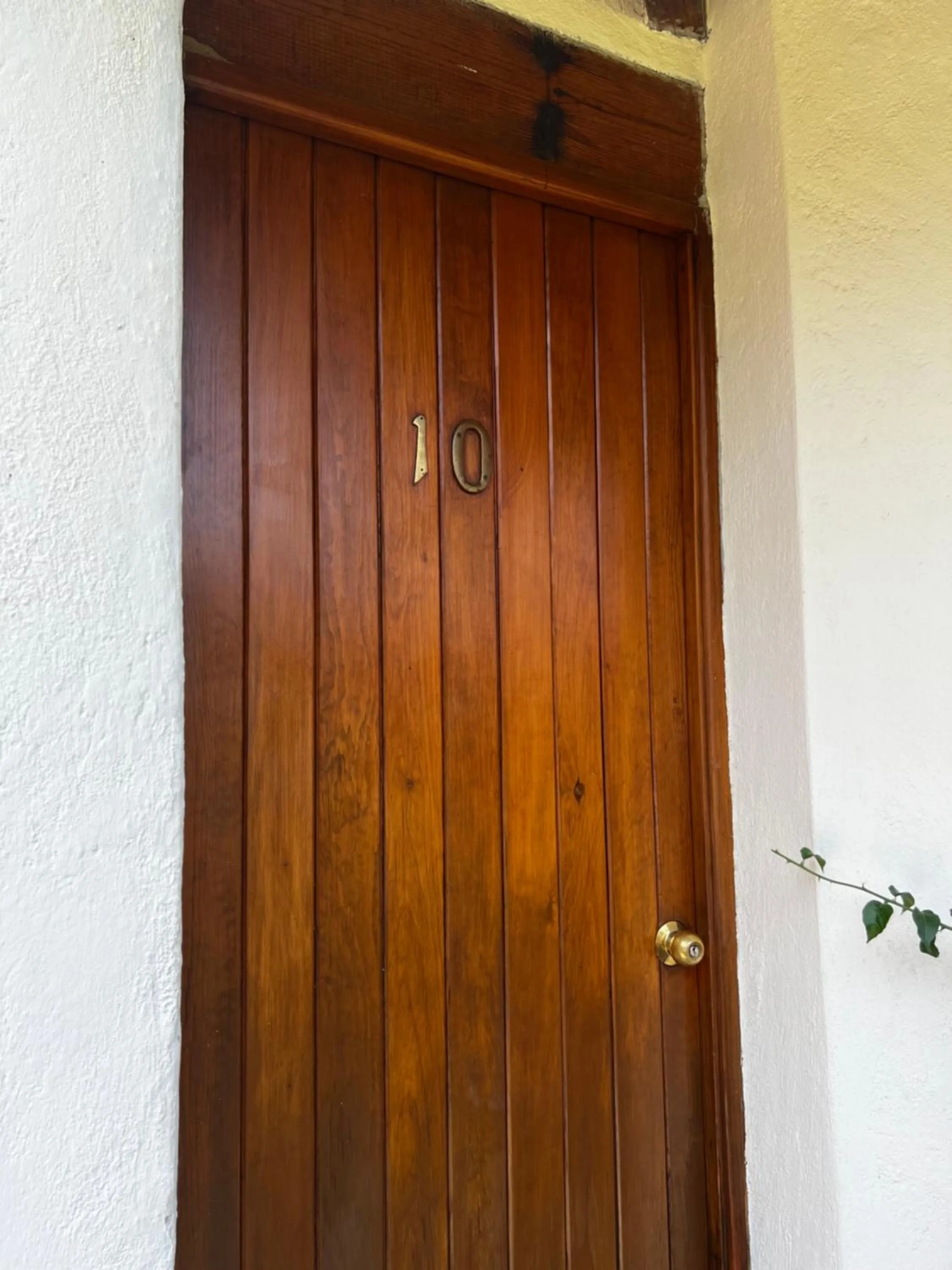 Other in Casa Bugambilia, Un Pequeño Hotel en Tepoztlán