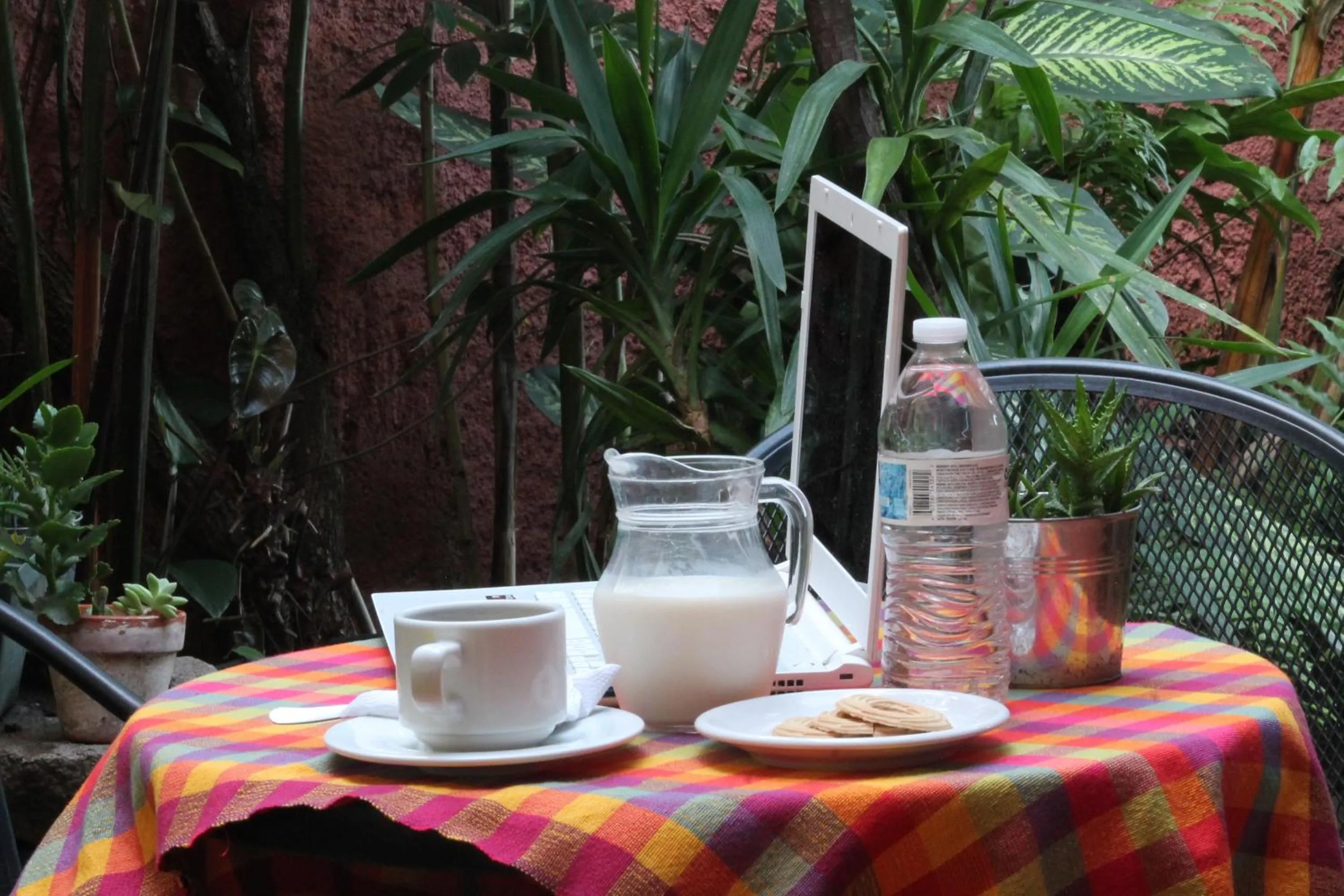 Garden in Hotel La Posada del Angel