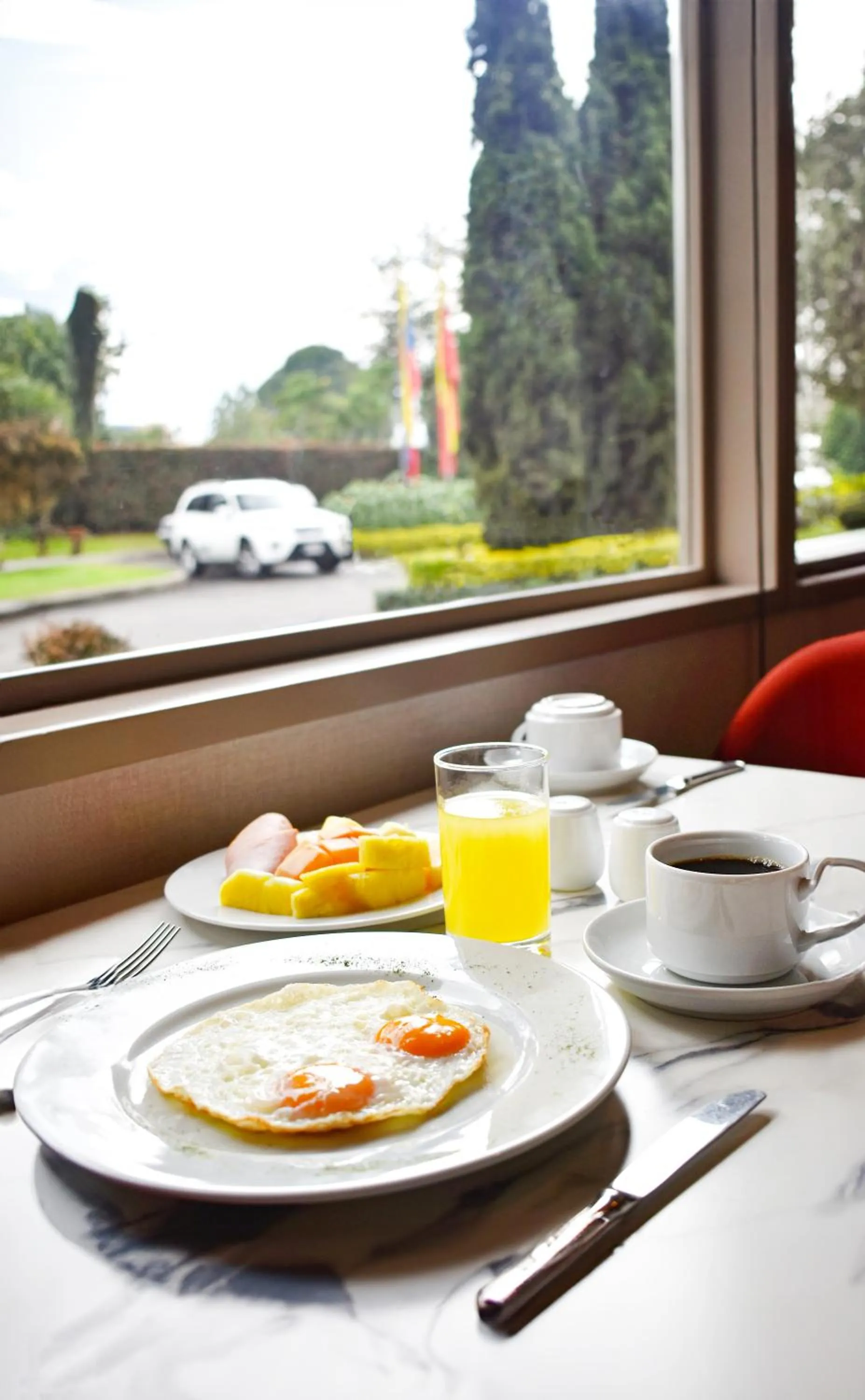 Food and drinks in Hotel Habitel Prime