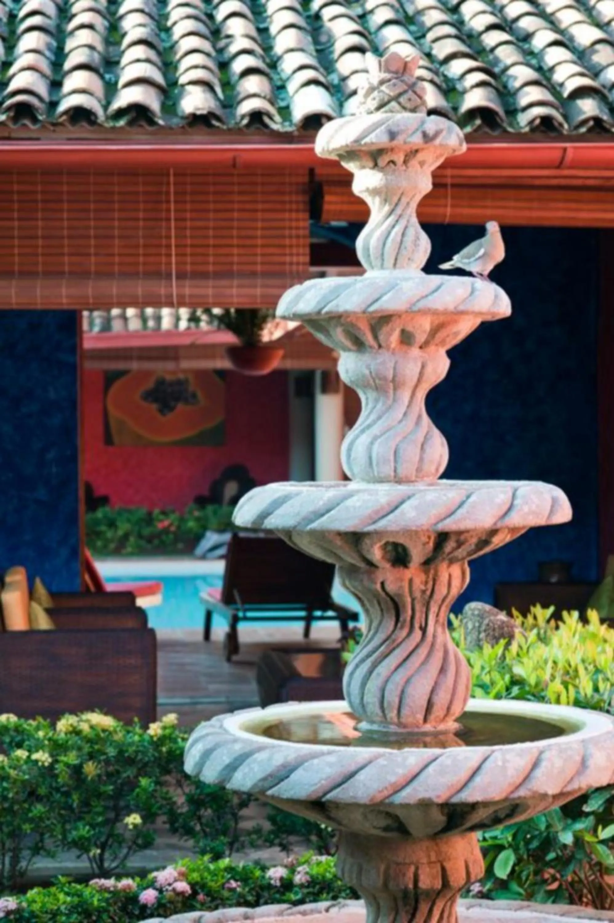 Garden in Hotel Casa del Consulado