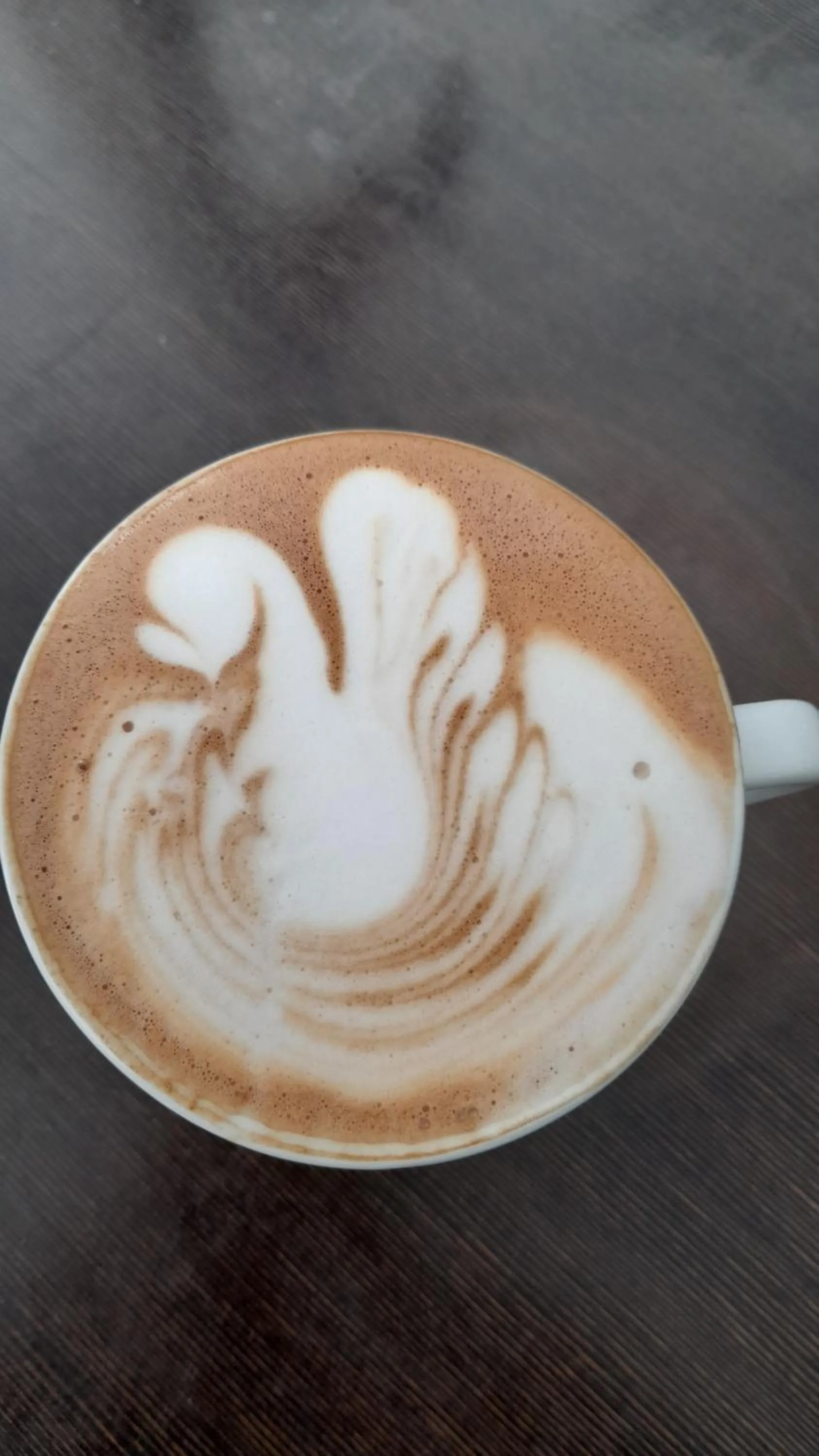 Restaurant/places to eat in Family Hotel Saga